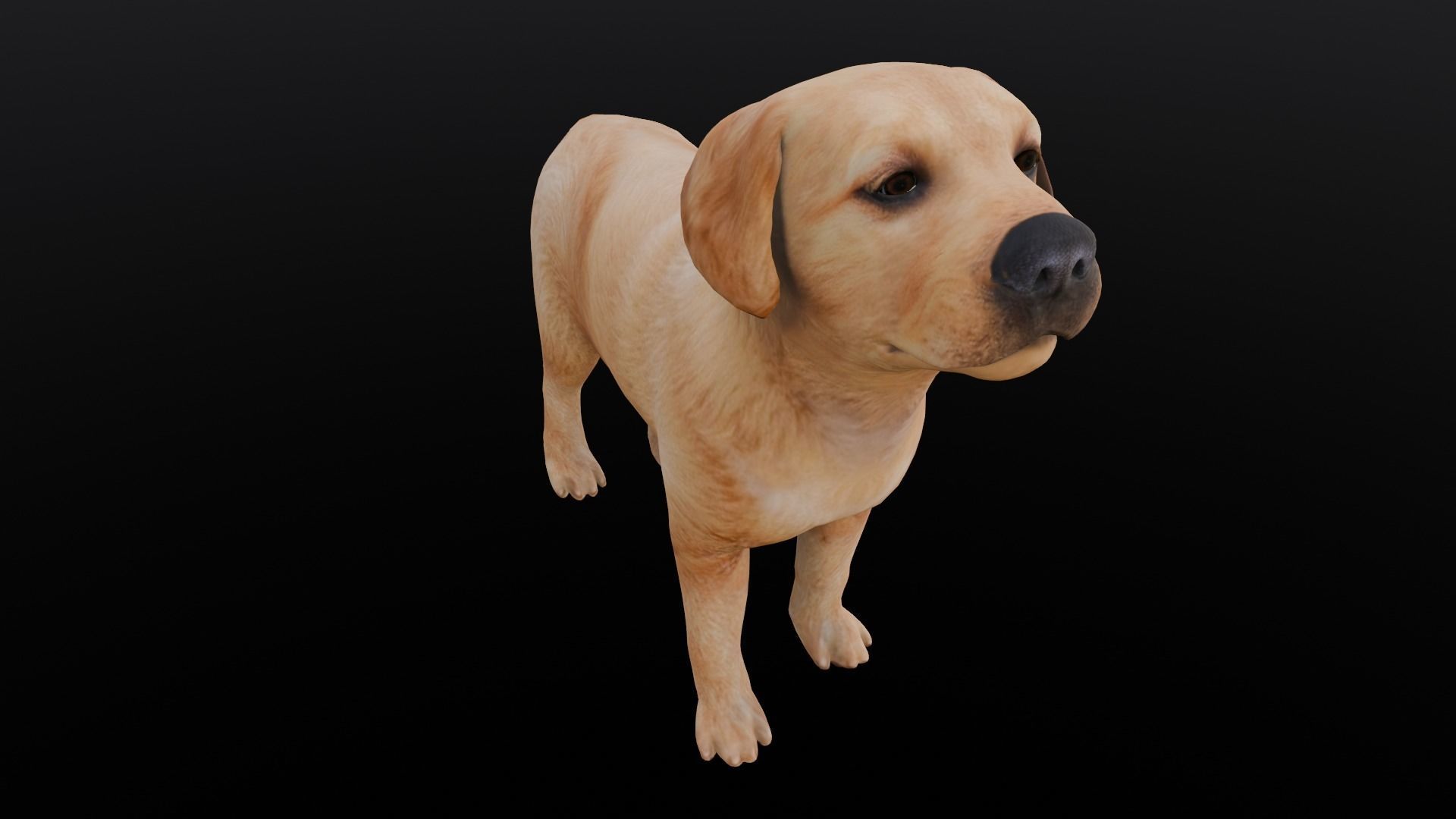Puppy Animated Rigged Low-poly 3D model_7