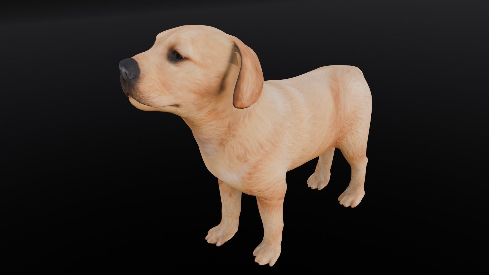 Puppy Animated Rigged Low-poly 3D model_15