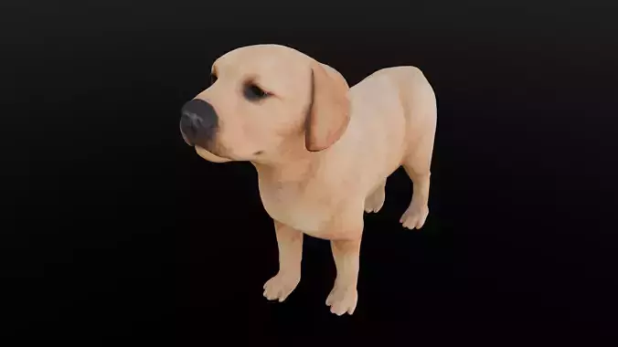 Puppy Animated Rigged 