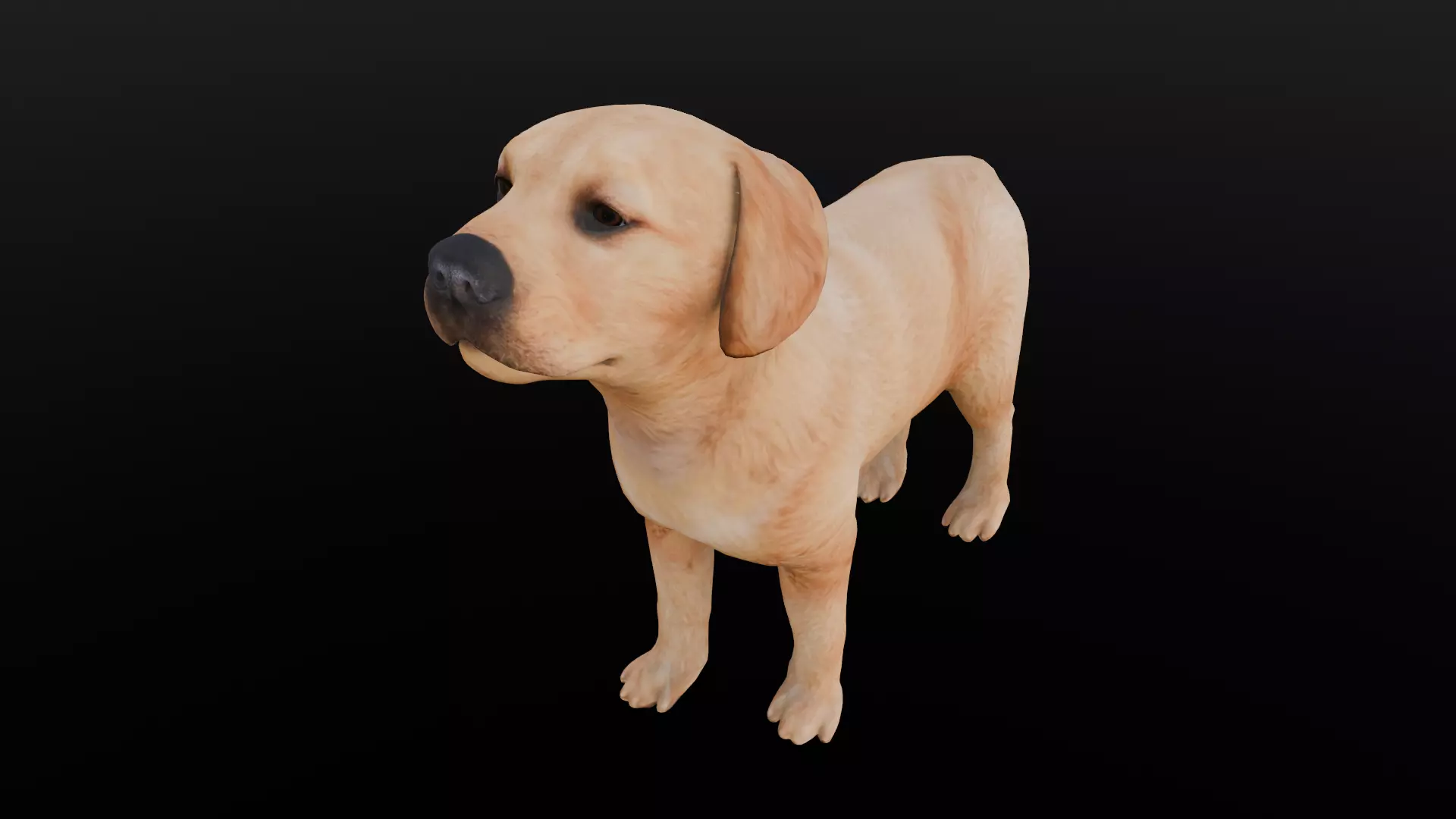 Puppy Animated Rigged Low-poly 3D model_0