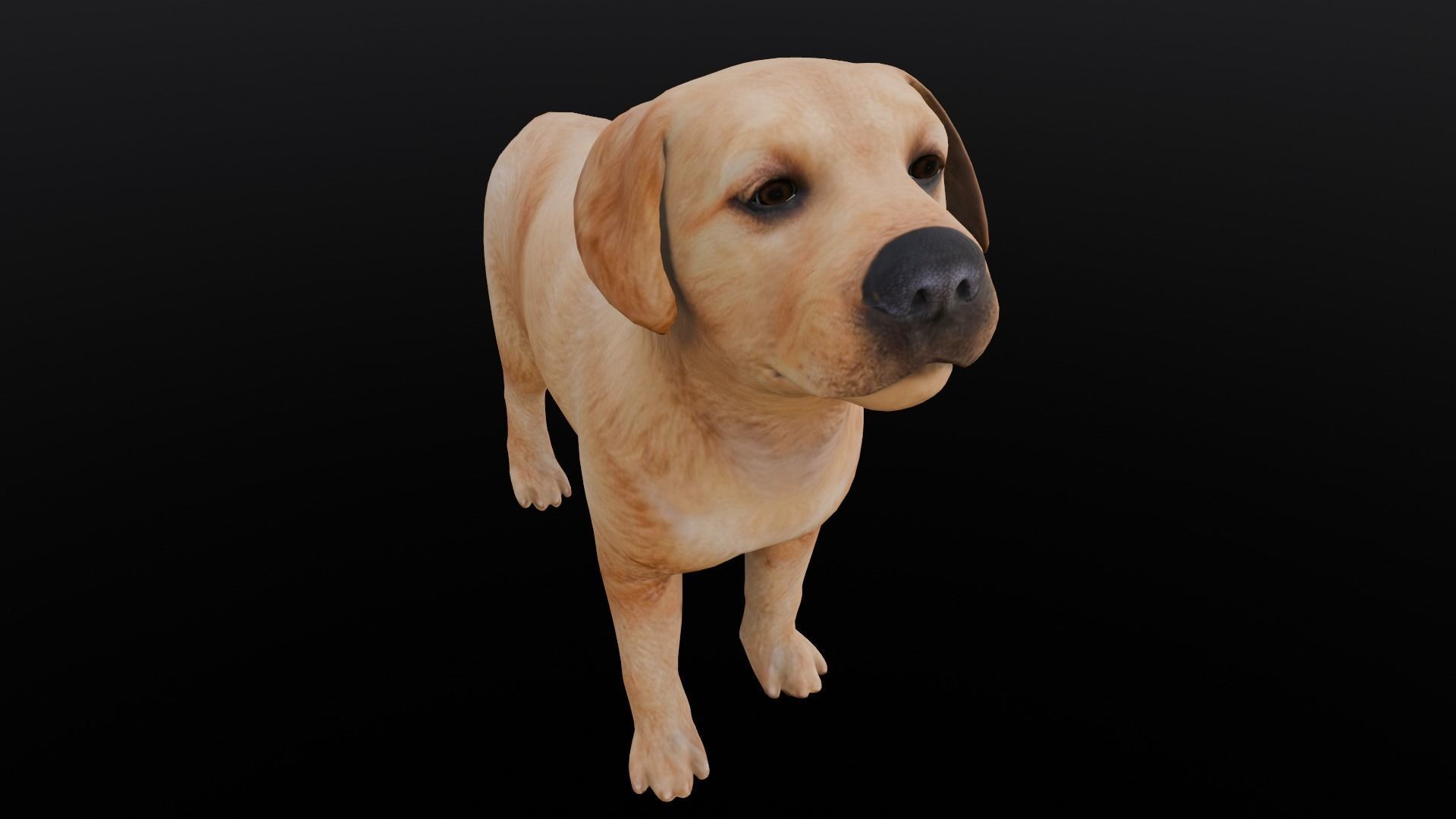 Puppy Animated Rigged Low-poly 3D model_14