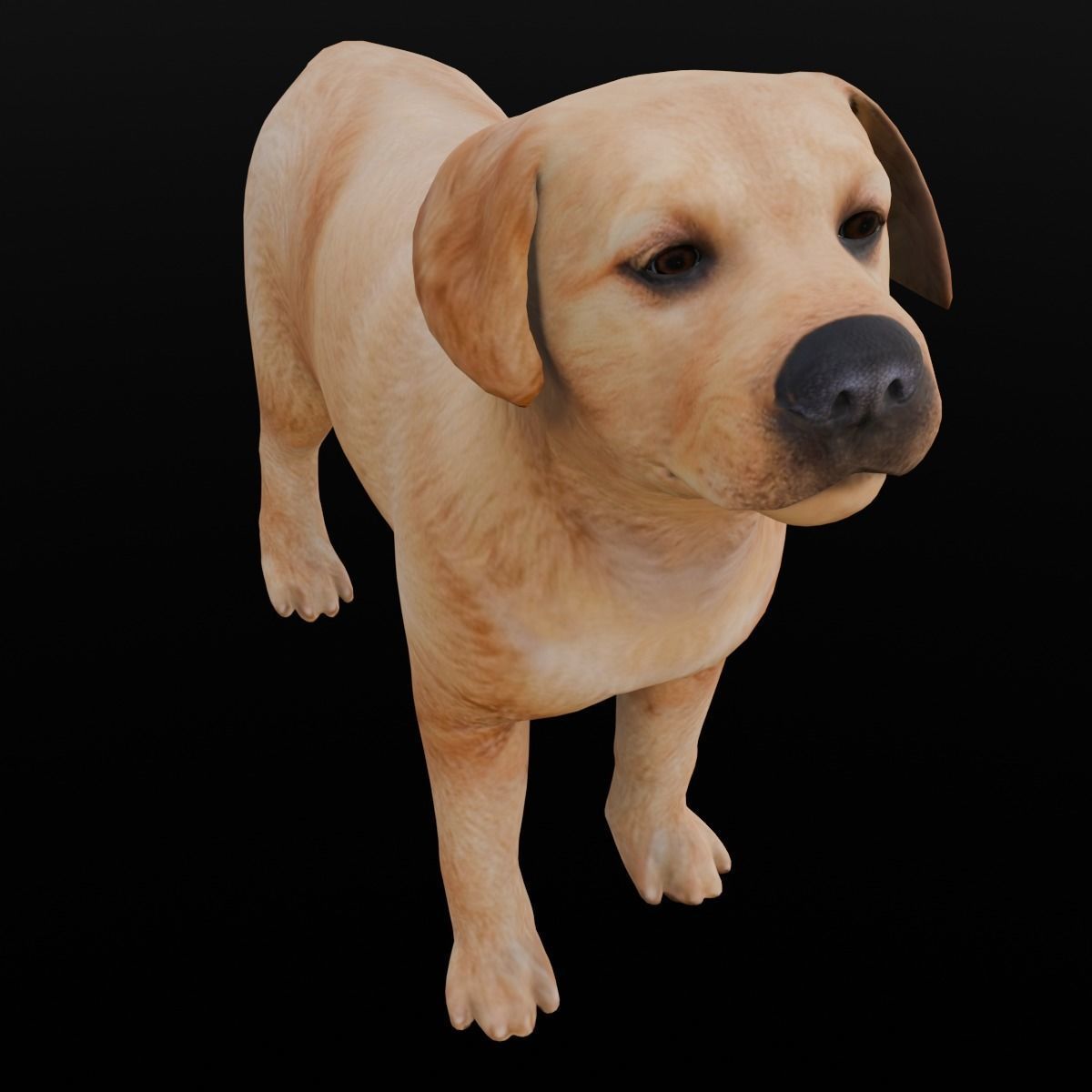 Puppy Animated Rigged Low-poly 3D model_6
