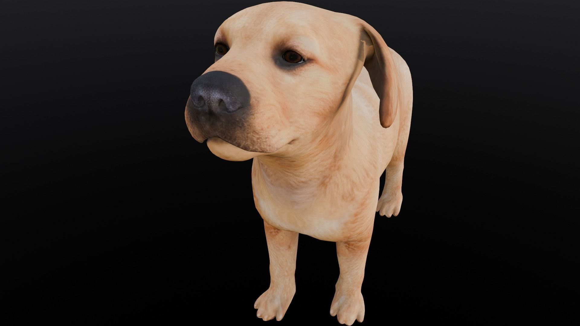 Puppy Animated Rigged Low-poly 3D model_2