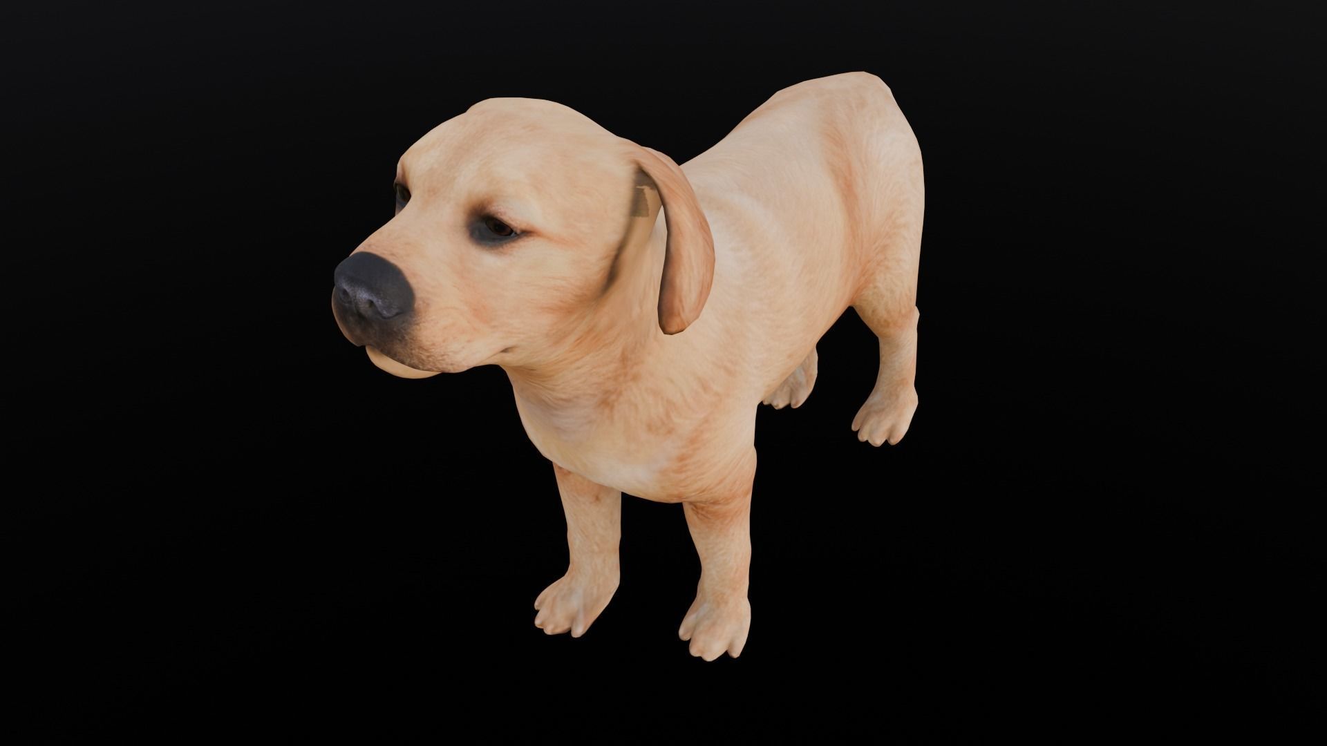 Puppy Animated Rigged Low-poly 3D model_4