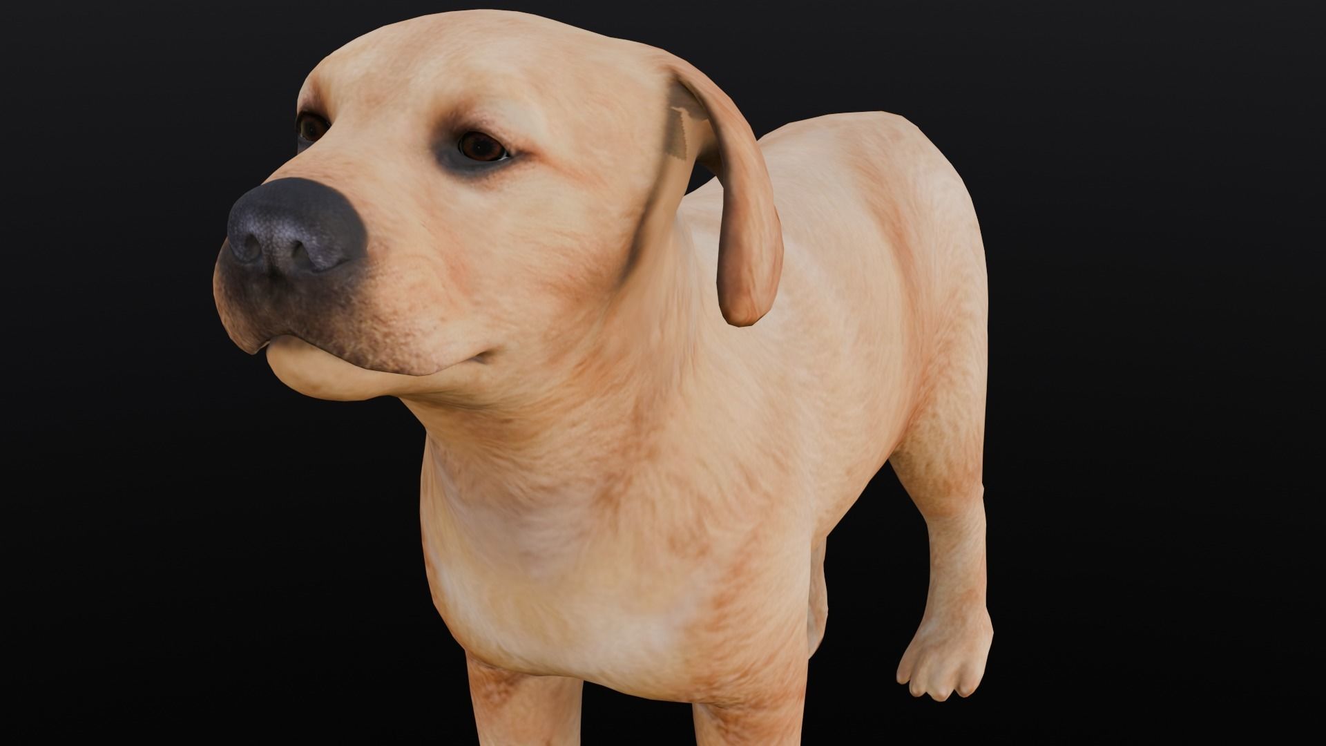 Puppy Animated Rigged Low-poly 3D model_17