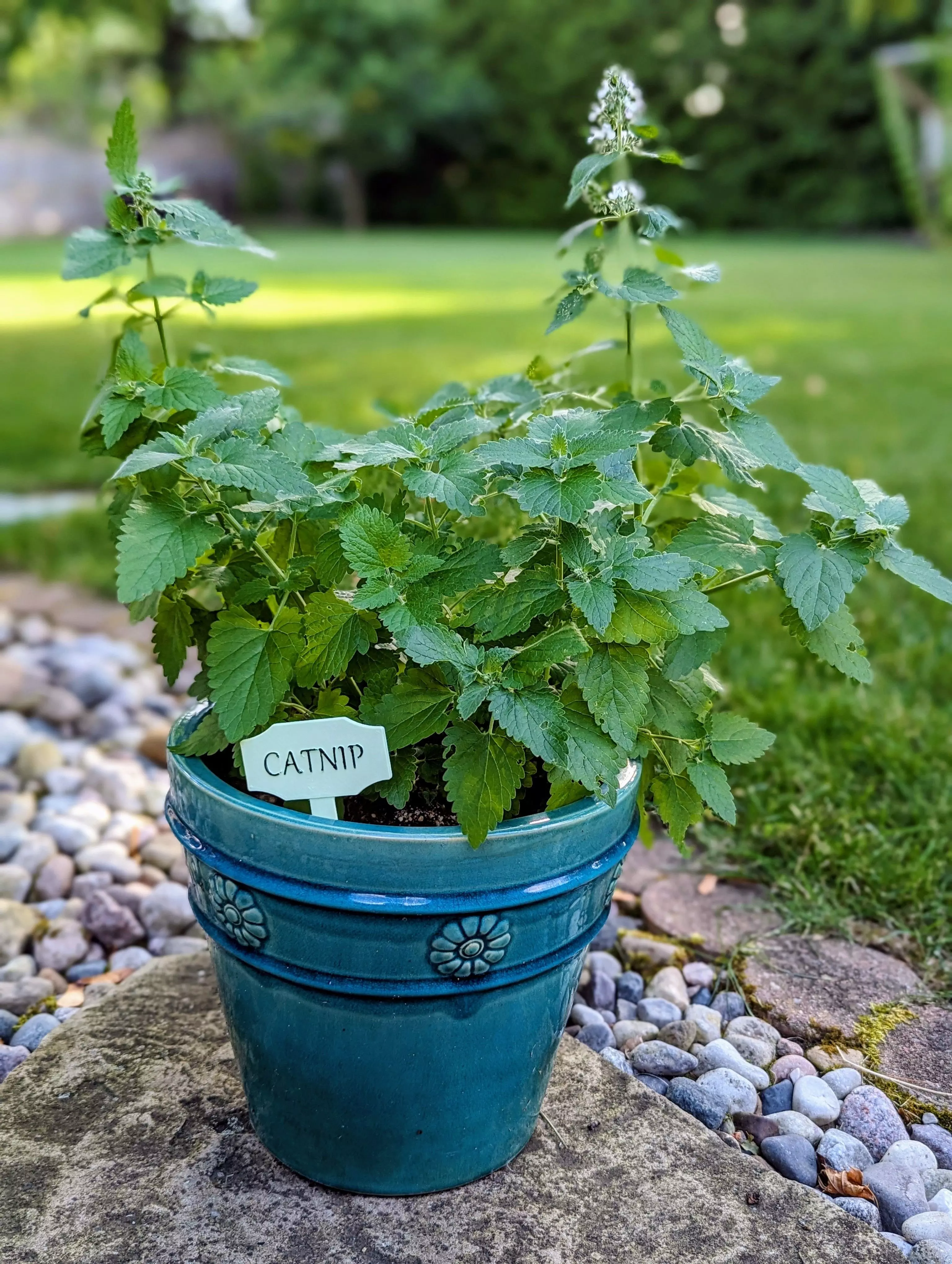 Garden Stakes for Flower Herb Garden Beds or Pots 79 Files 3D print model_0