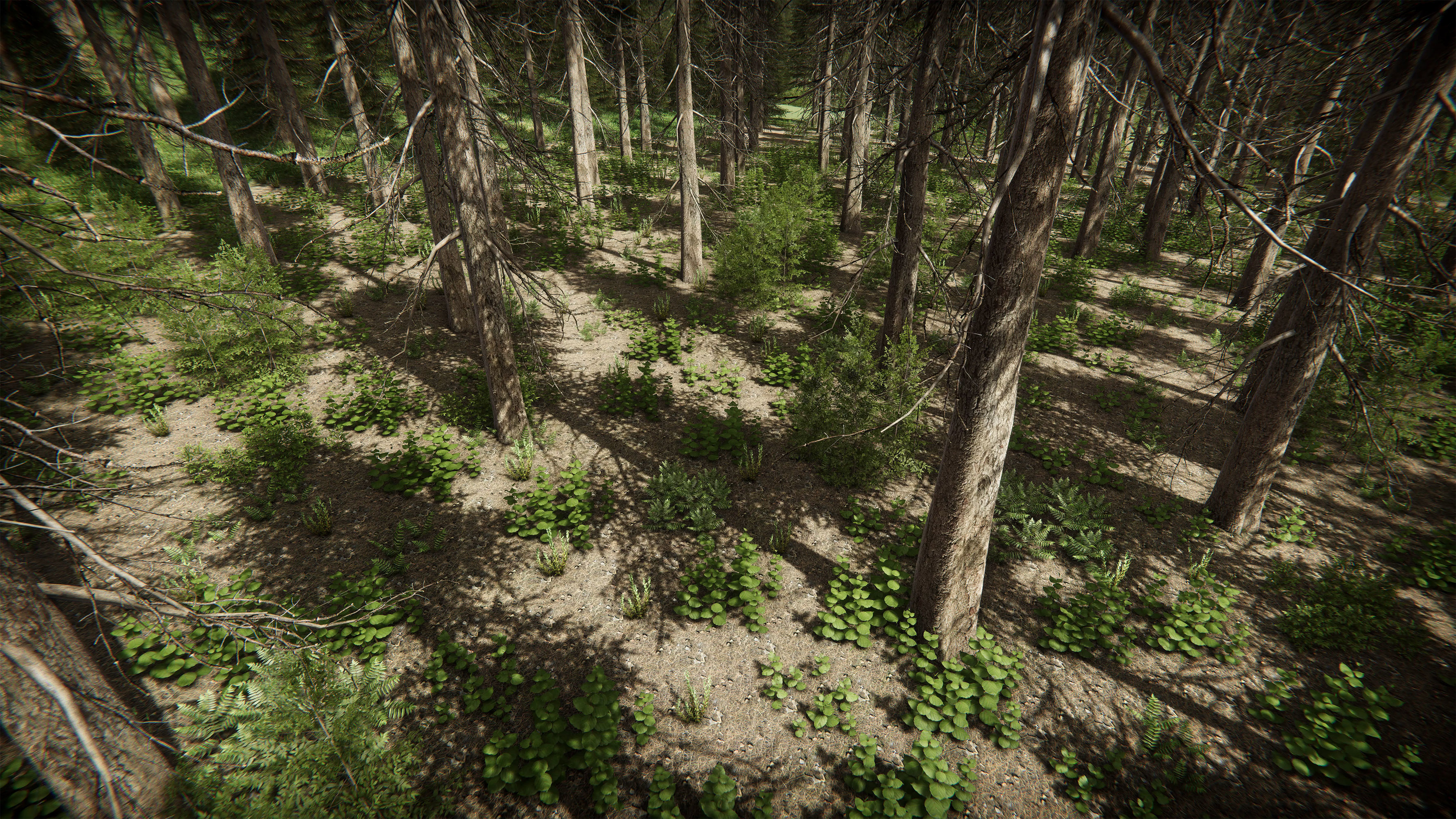 Mountains Coniferous Forests - Environment Low-poly 3D model_4