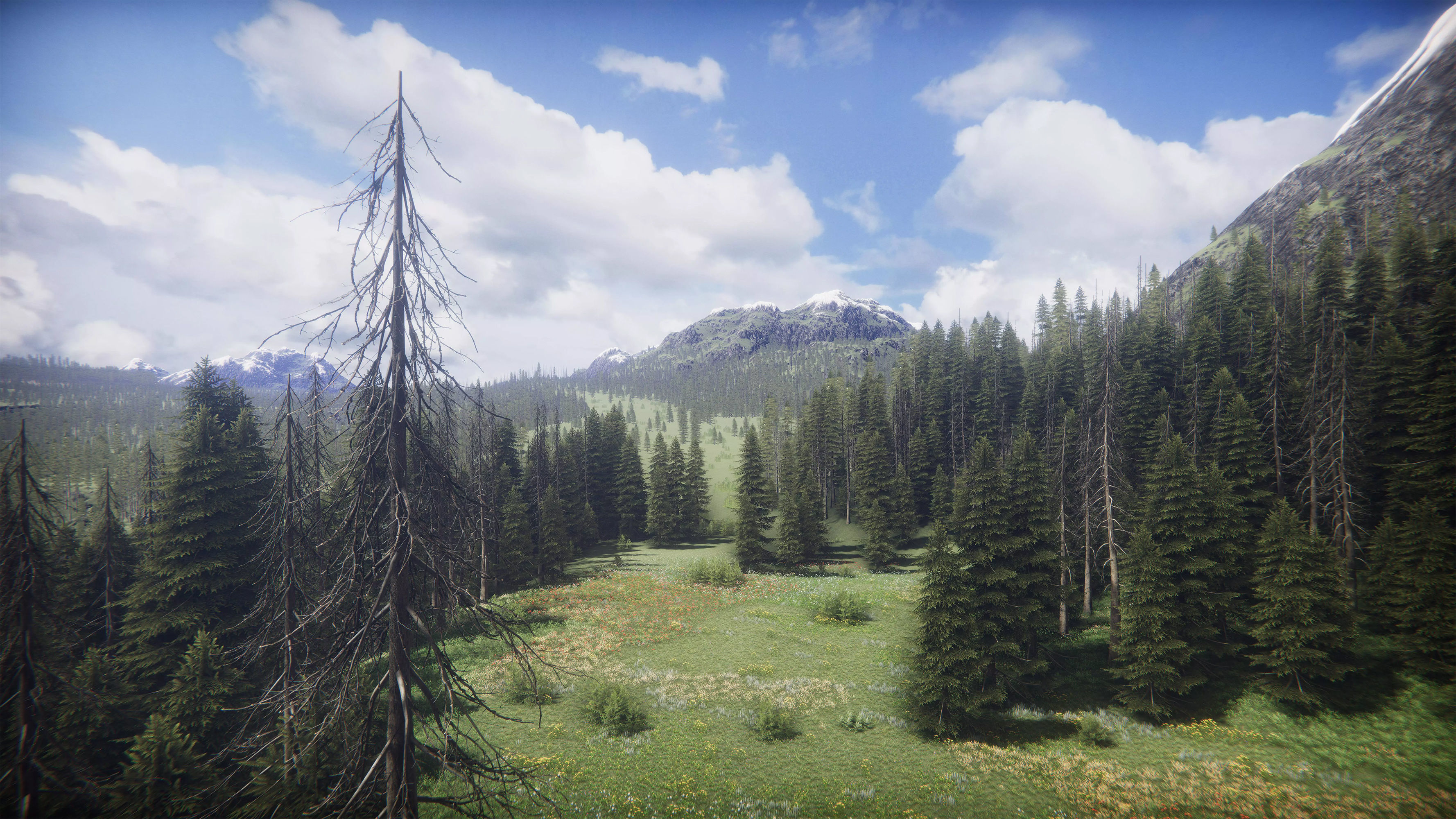 Mountains Coniferous Forests - Environment Low-poly 3D model_15