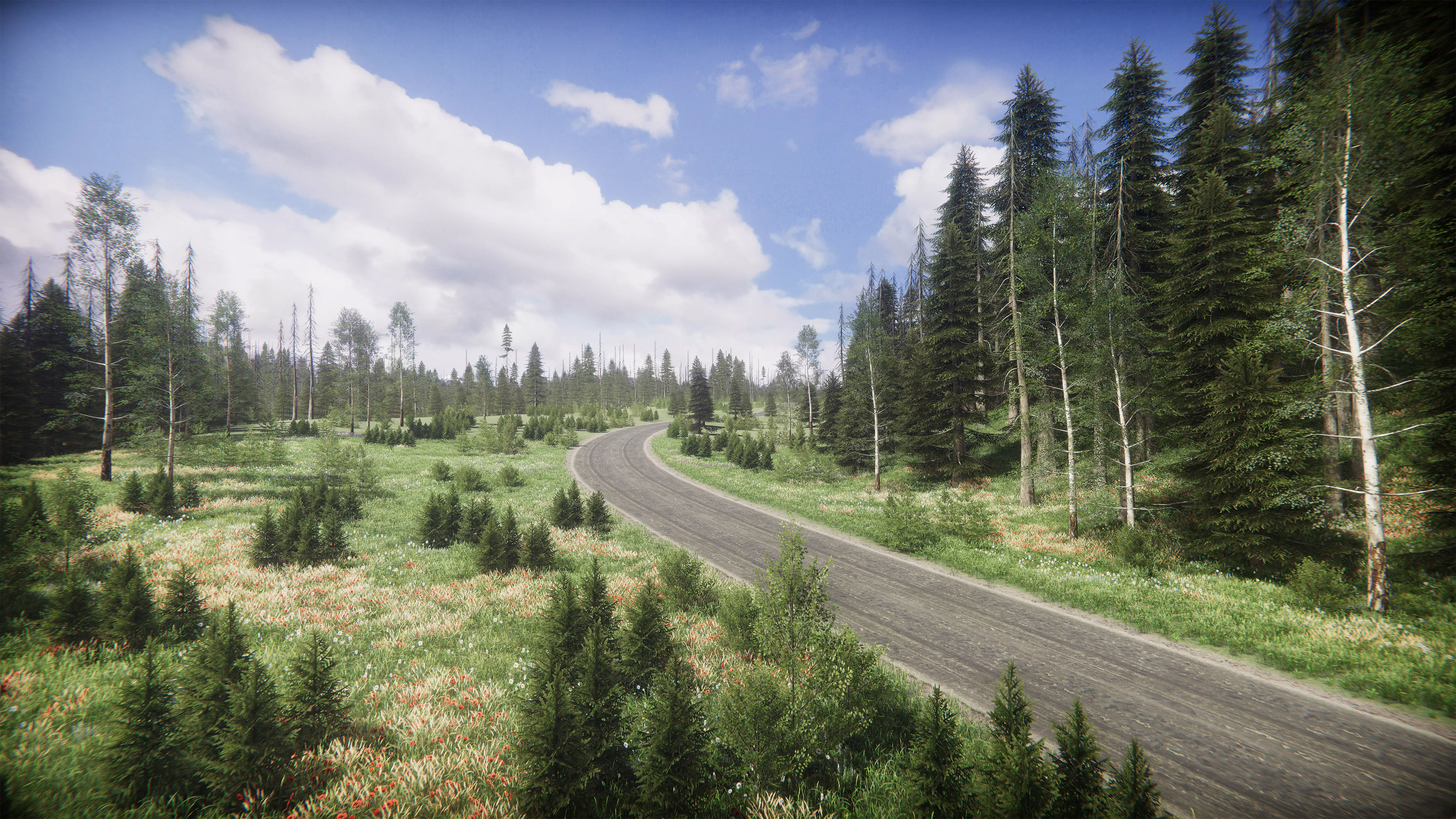 Mountains Coniferous Forests - Environment Low-poly 3D model_13