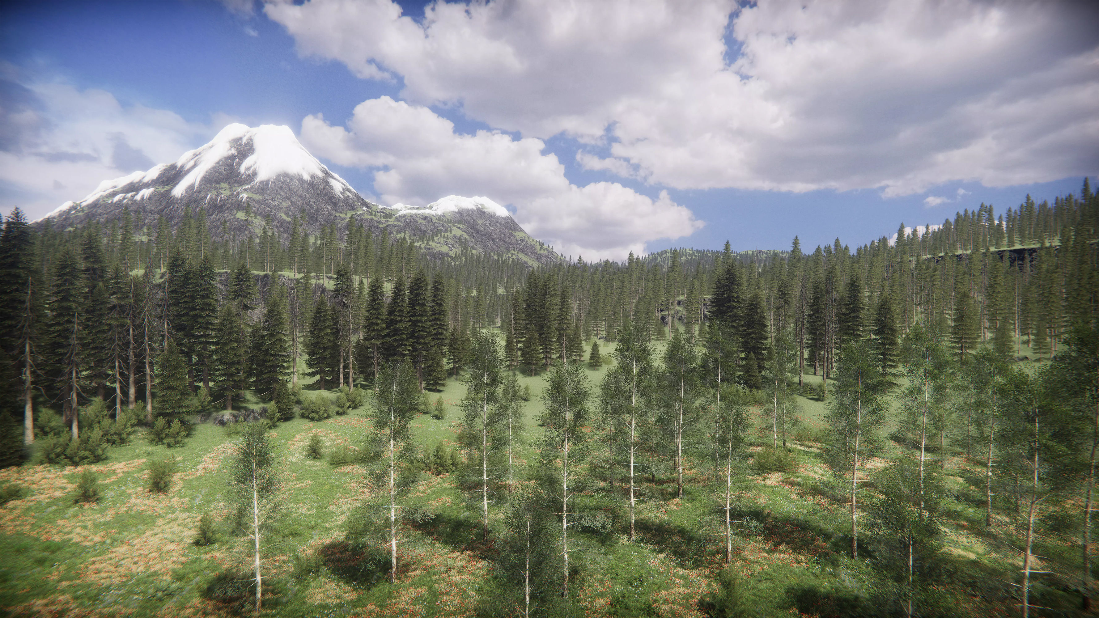 Mountains Coniferous Forests - Environment Low-poly 3D model_12