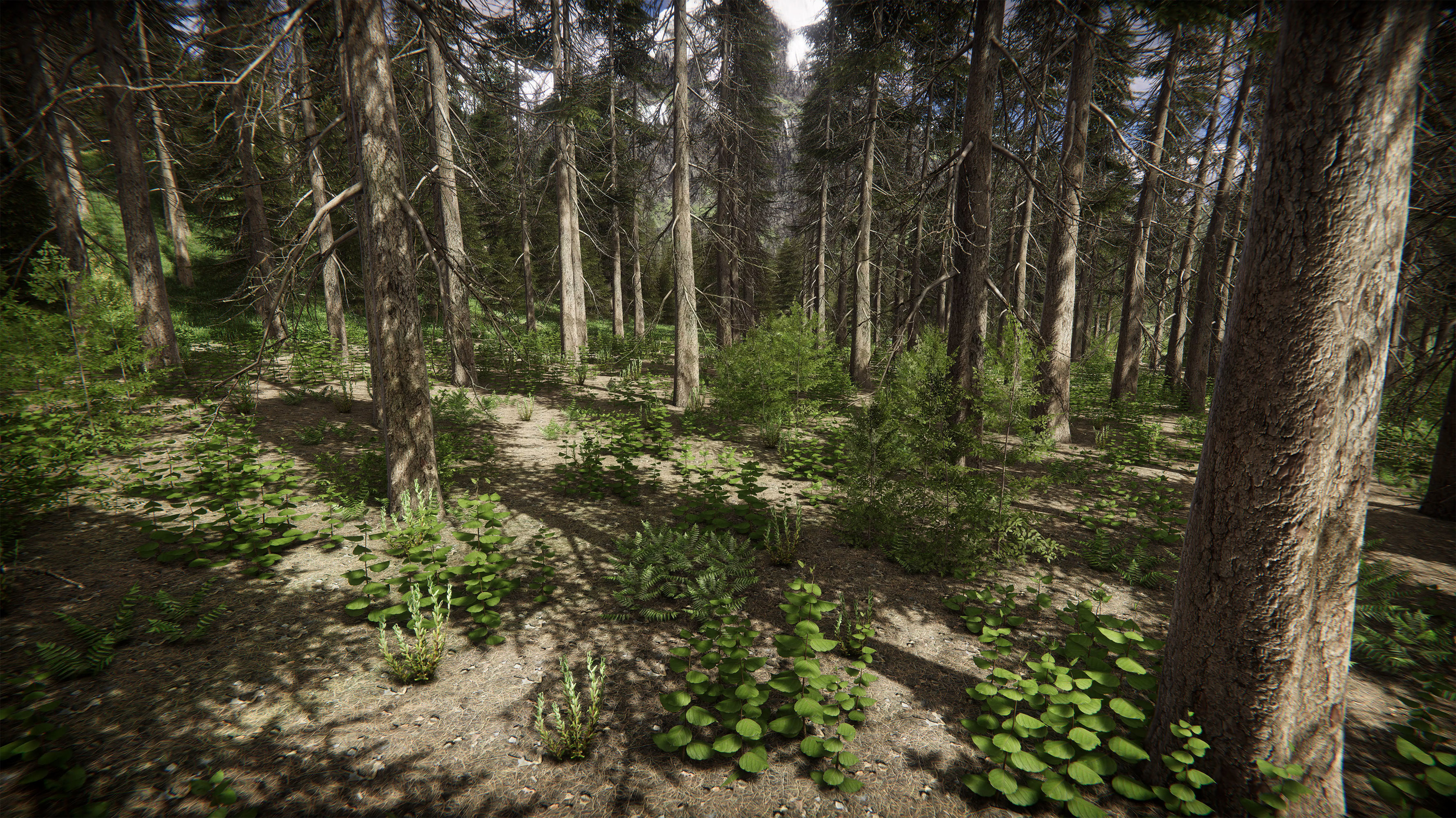 Mountains Coniferous Forests - Environment Low-poly 3D model_3