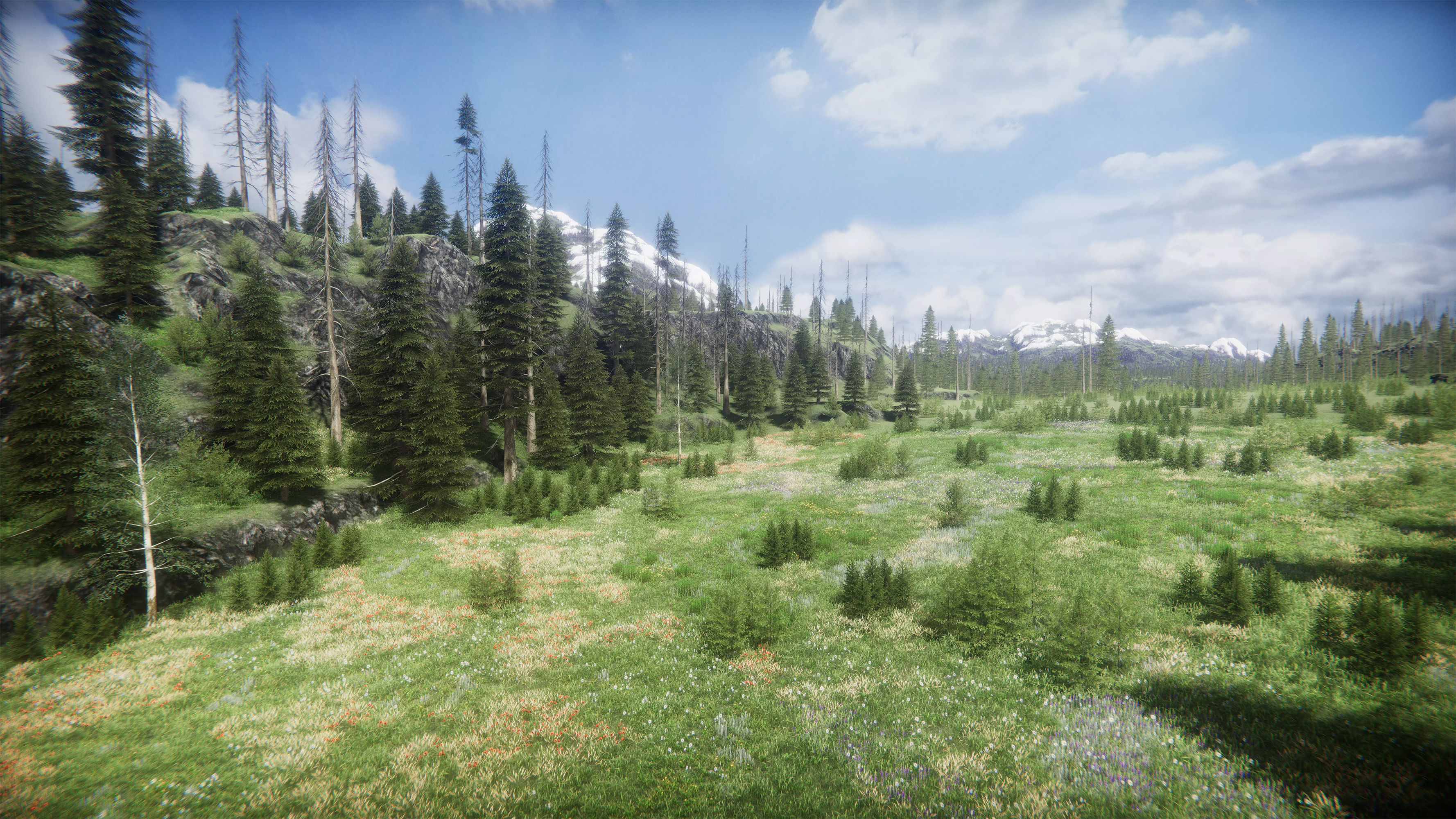 Mountains Coniferous Forests - Environment Low-poly 3D model_23