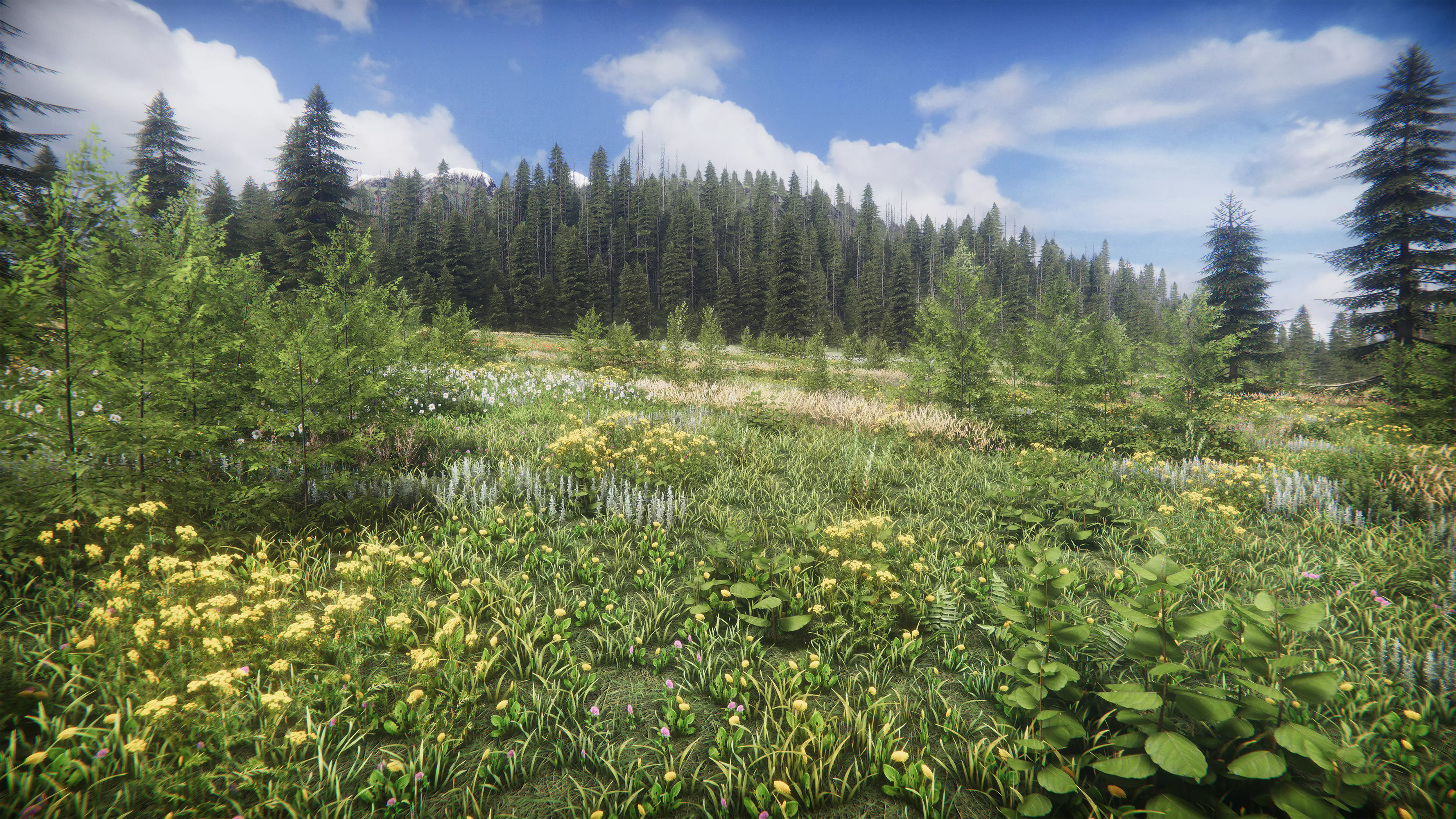 Mountains Coniferous Forests - Environment Low-poly 3D model_19