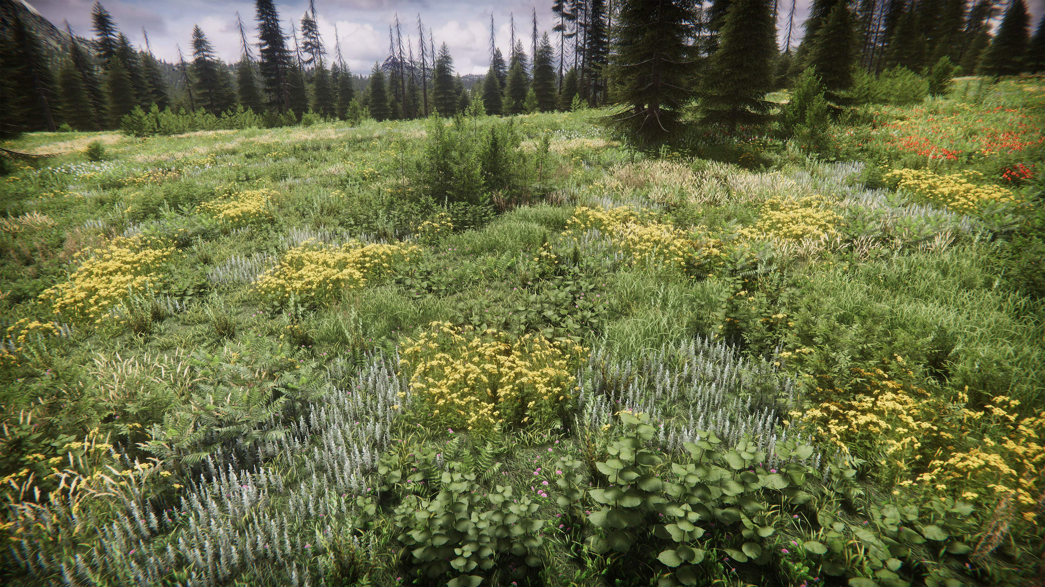 Mountains Coniferous Forests - Environment Low-poly 3D model_11