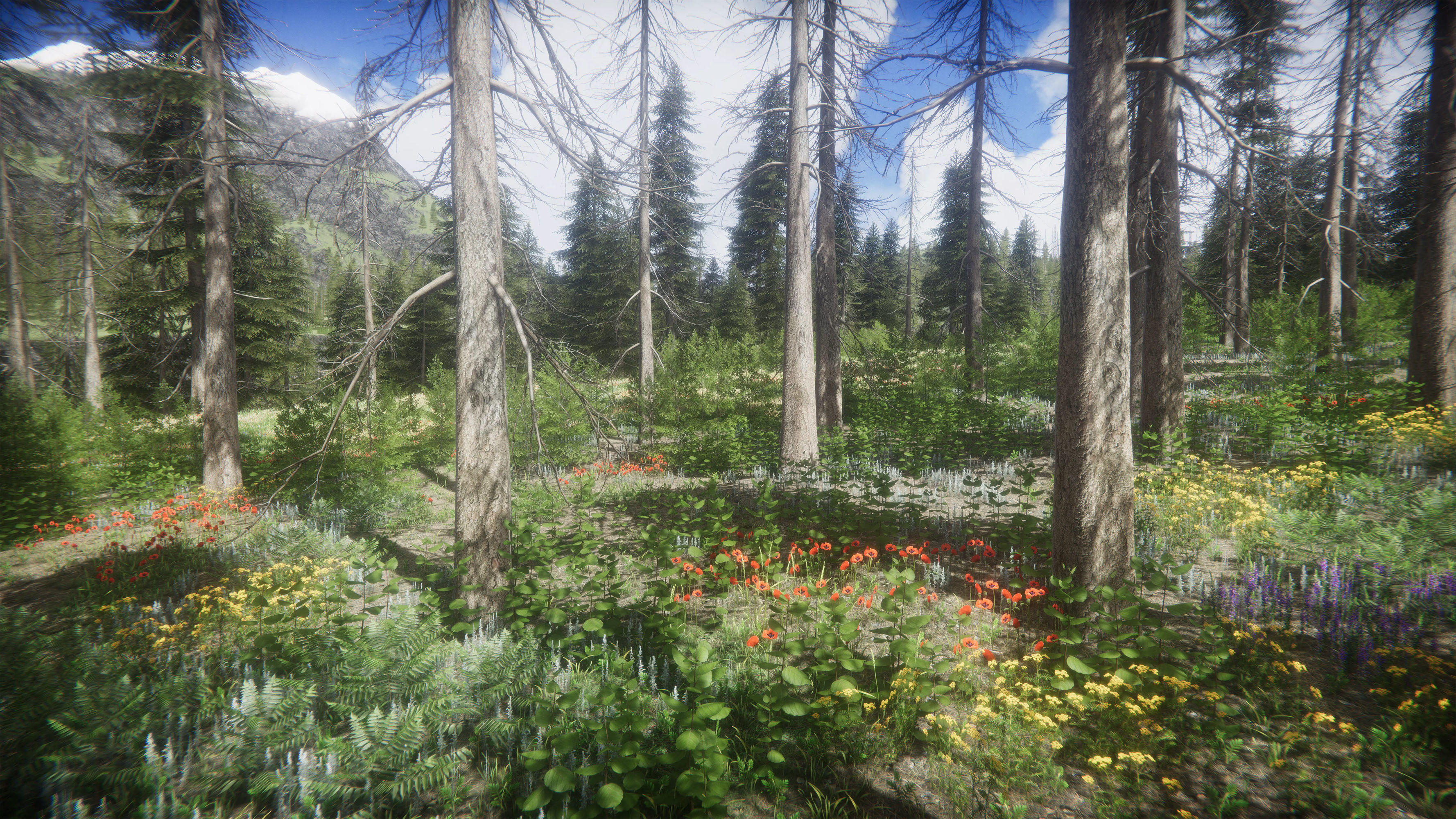 Mountains Coniferous Forests - Environment Low-poly 3D model_20