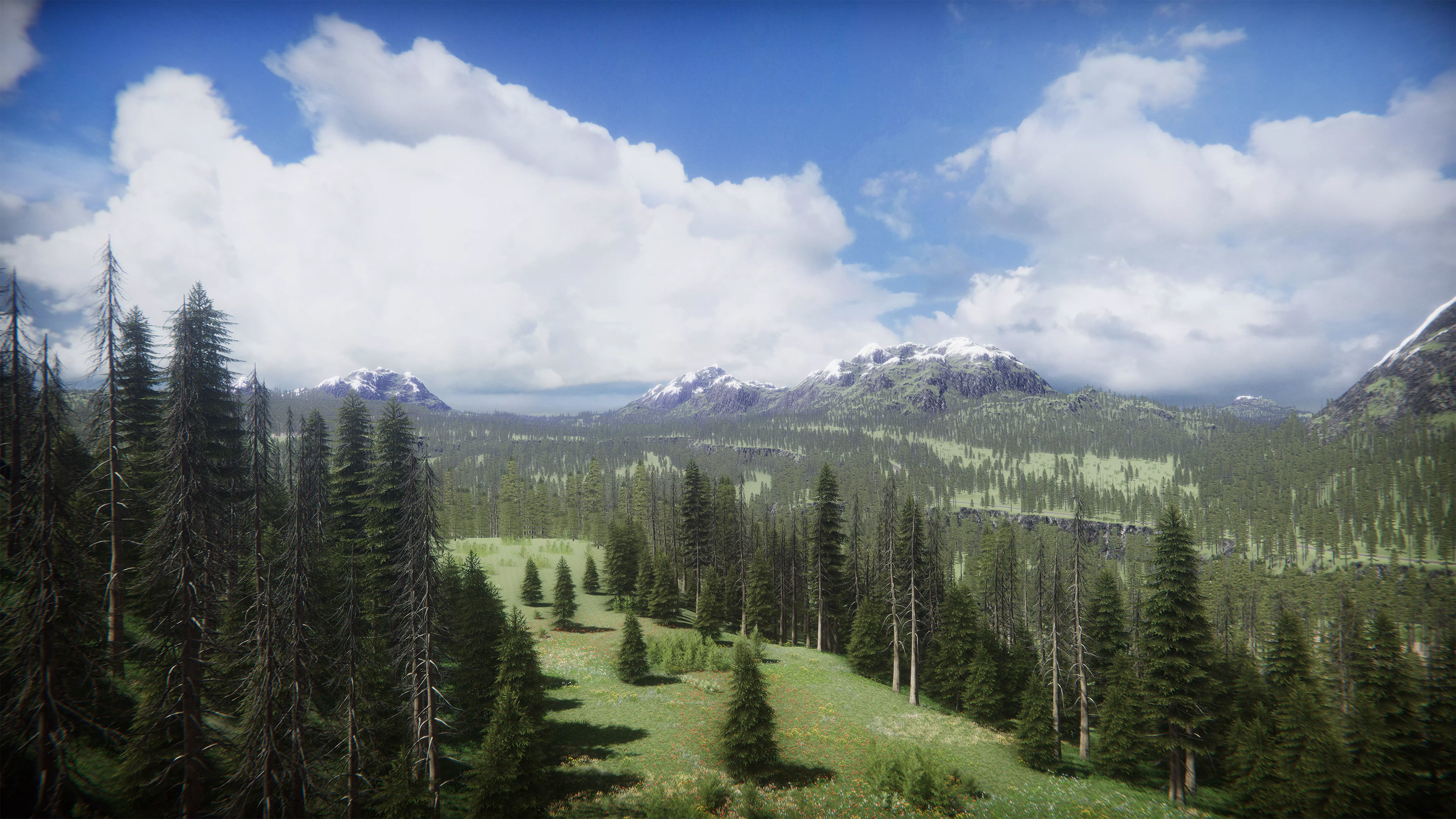 Mountains Coniferous Forests - Environment Low-poly 3D model_18