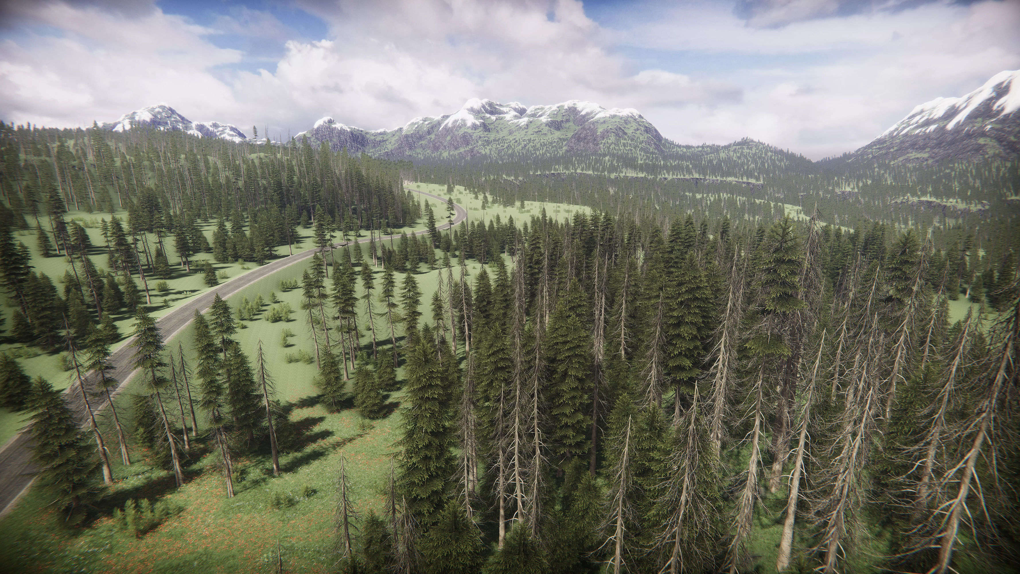 Mountains Coniferous Forests - Environment Low-poly 3D model_6