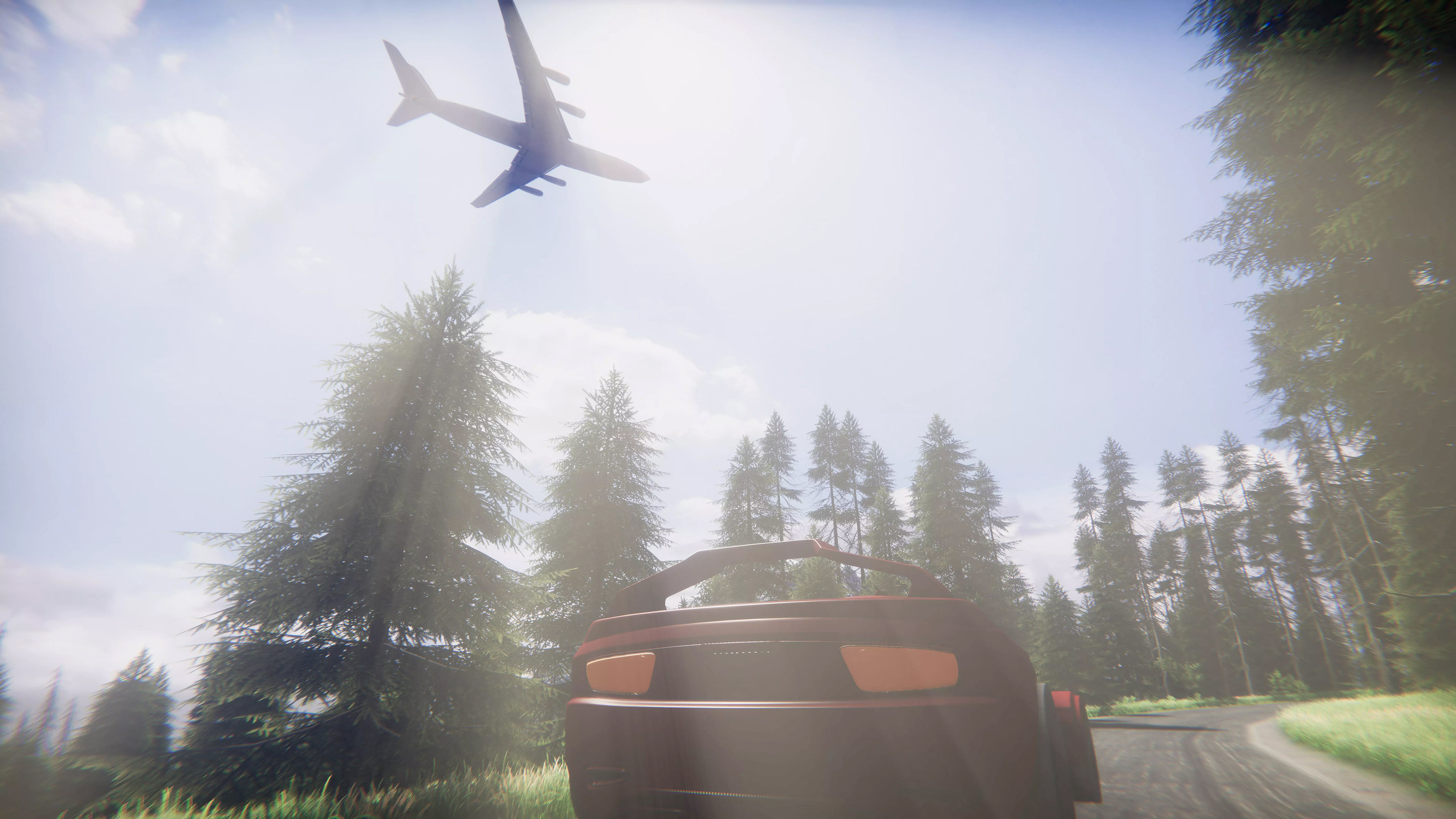 Mountains Coniferous Forests - Environment Low-poly 3D model_5