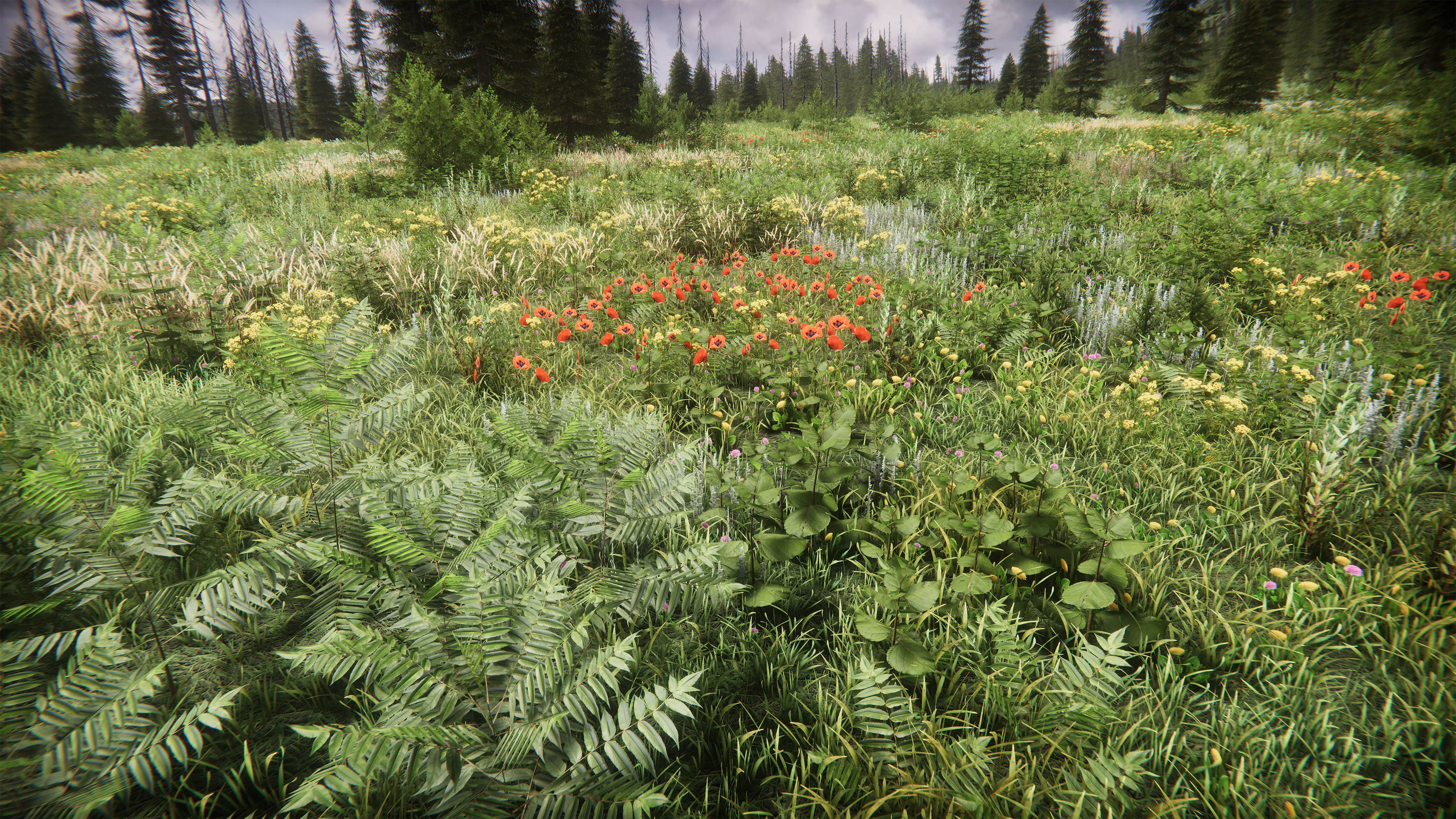 Mountains Coniferous Forests - Environment Low-poly 3D model_10