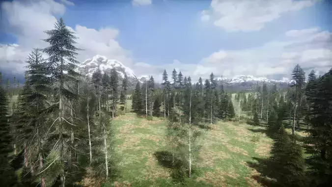 Mountains Coniferous Forests - Environment Low-poly 3D model