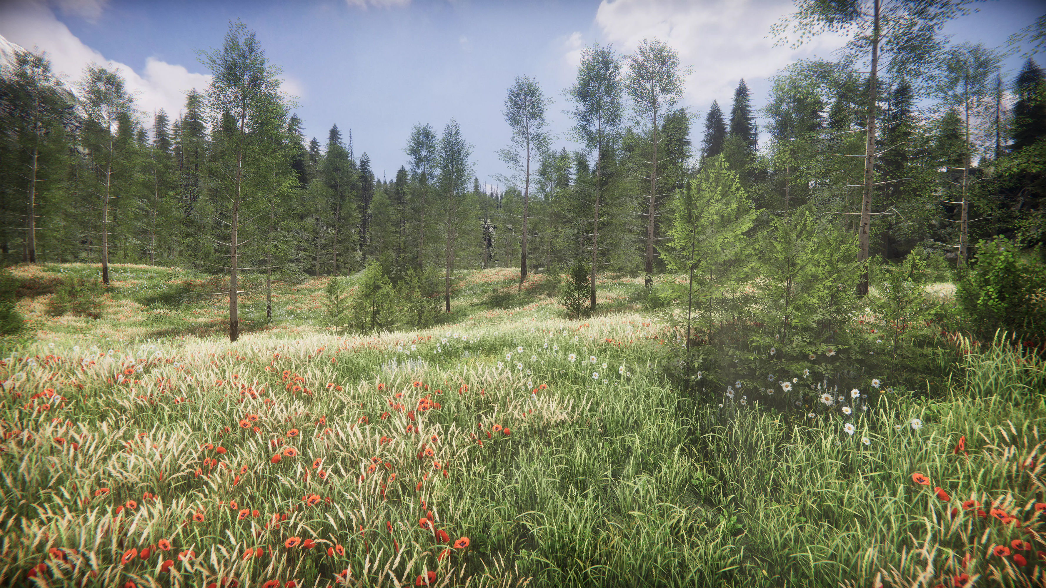 Mountains Coniferous Forests - Environment Low-poly 3D model_16