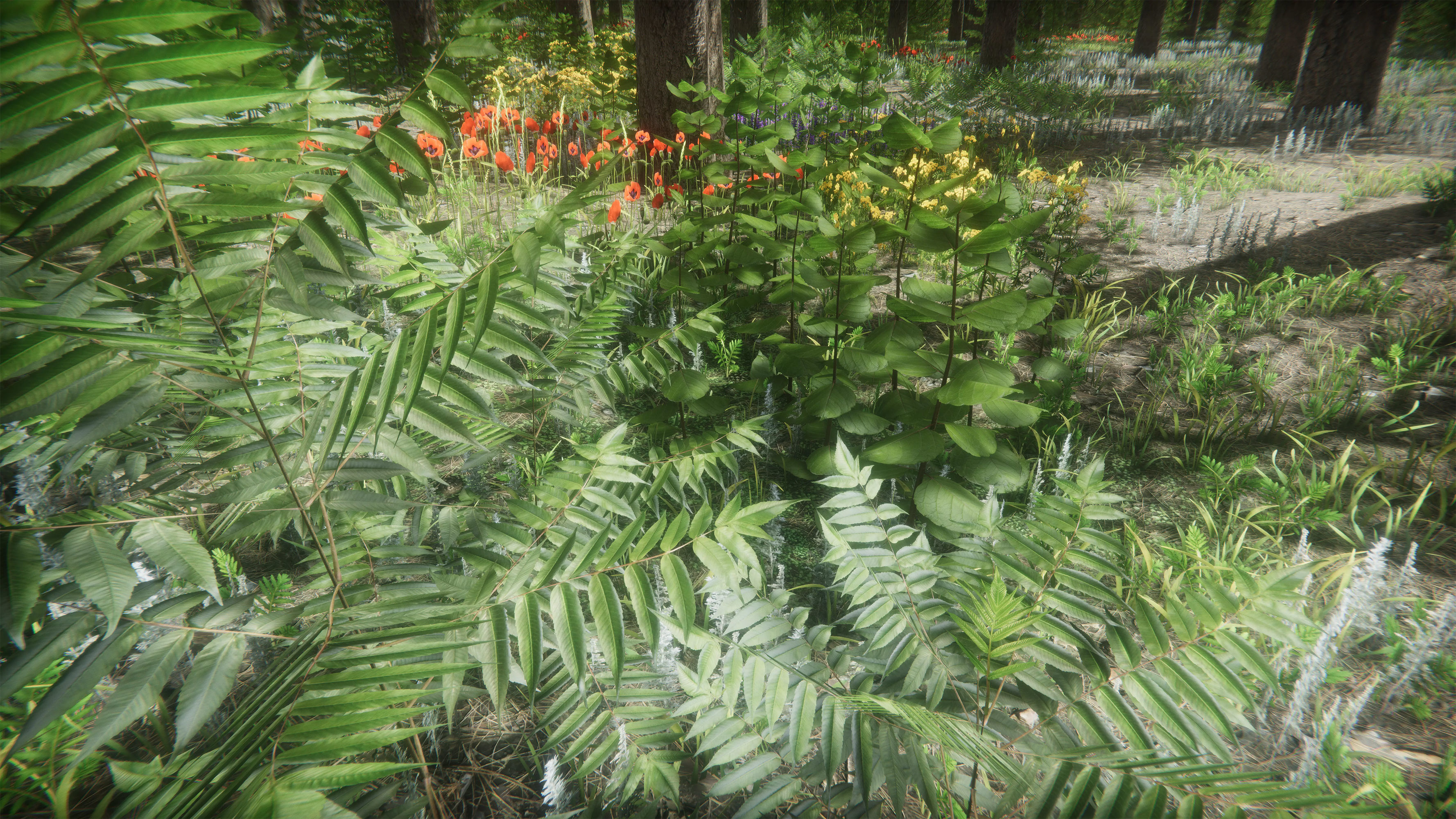 Mountains Coniferous Forests - Environment Low-poly 3D model_21