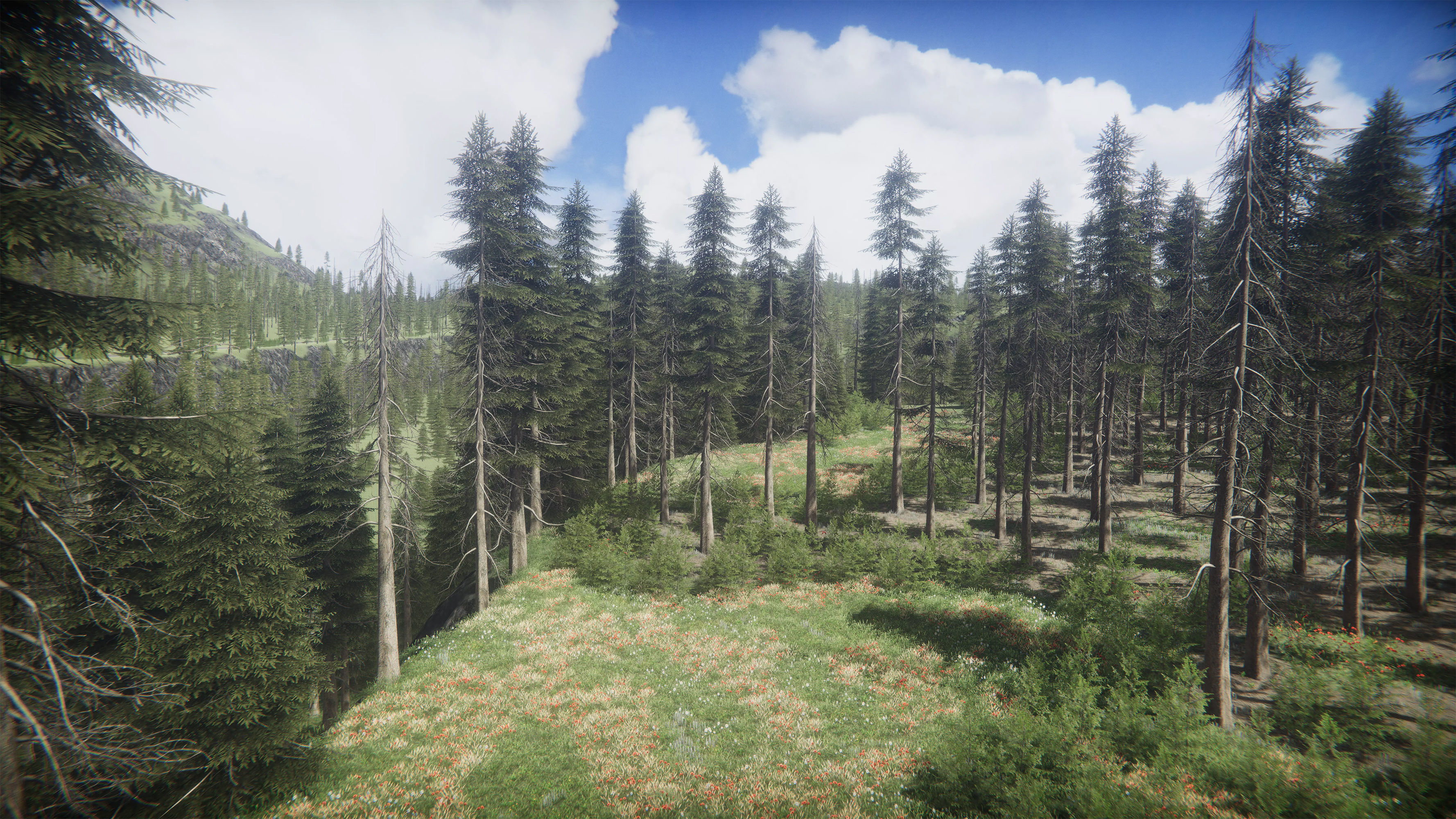 Mountains Coniferous Forests - Environment Low-poly 3D model_14