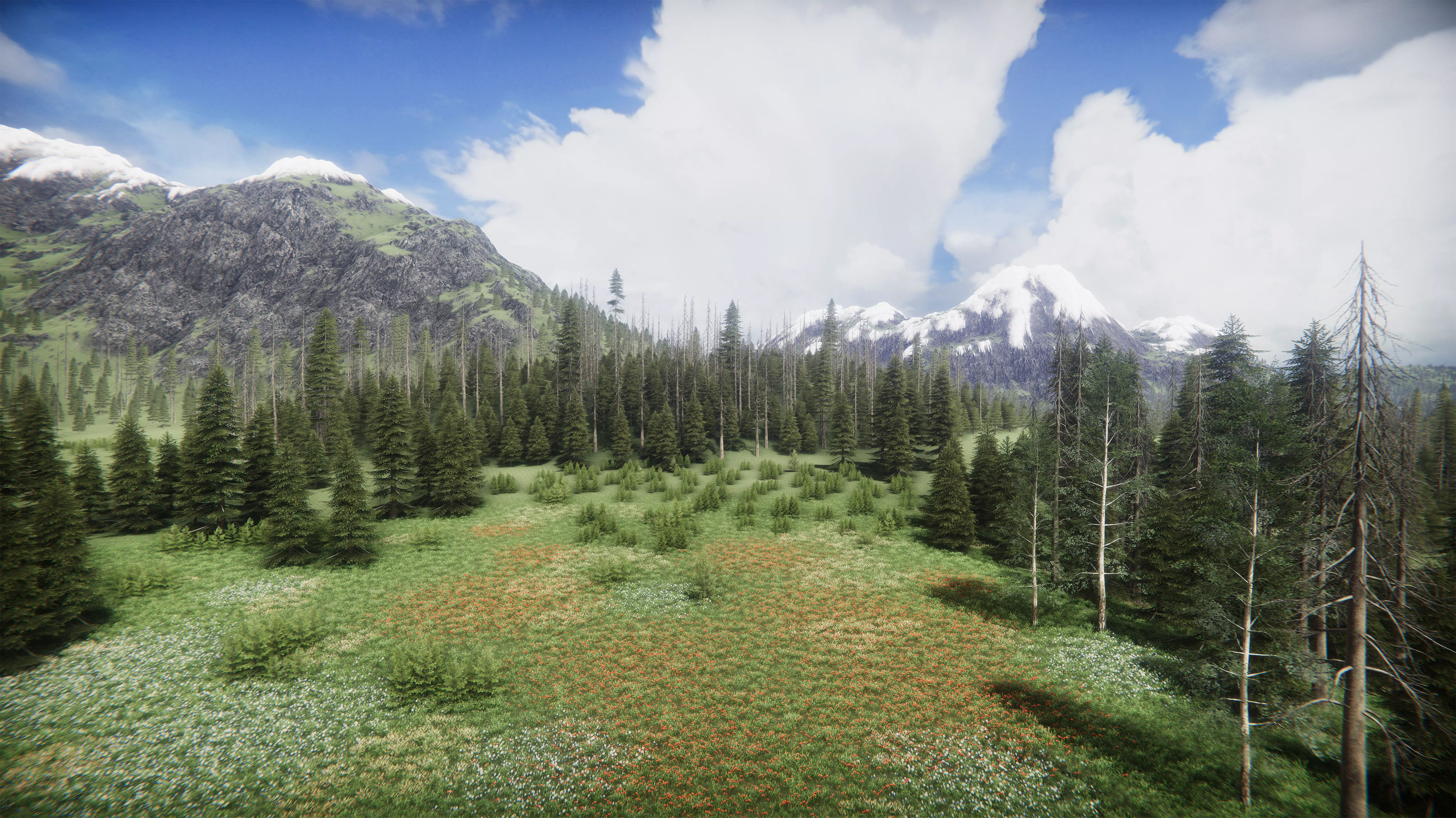 Mountains Coniferous Forests - Environment Low-poly 3D model_24