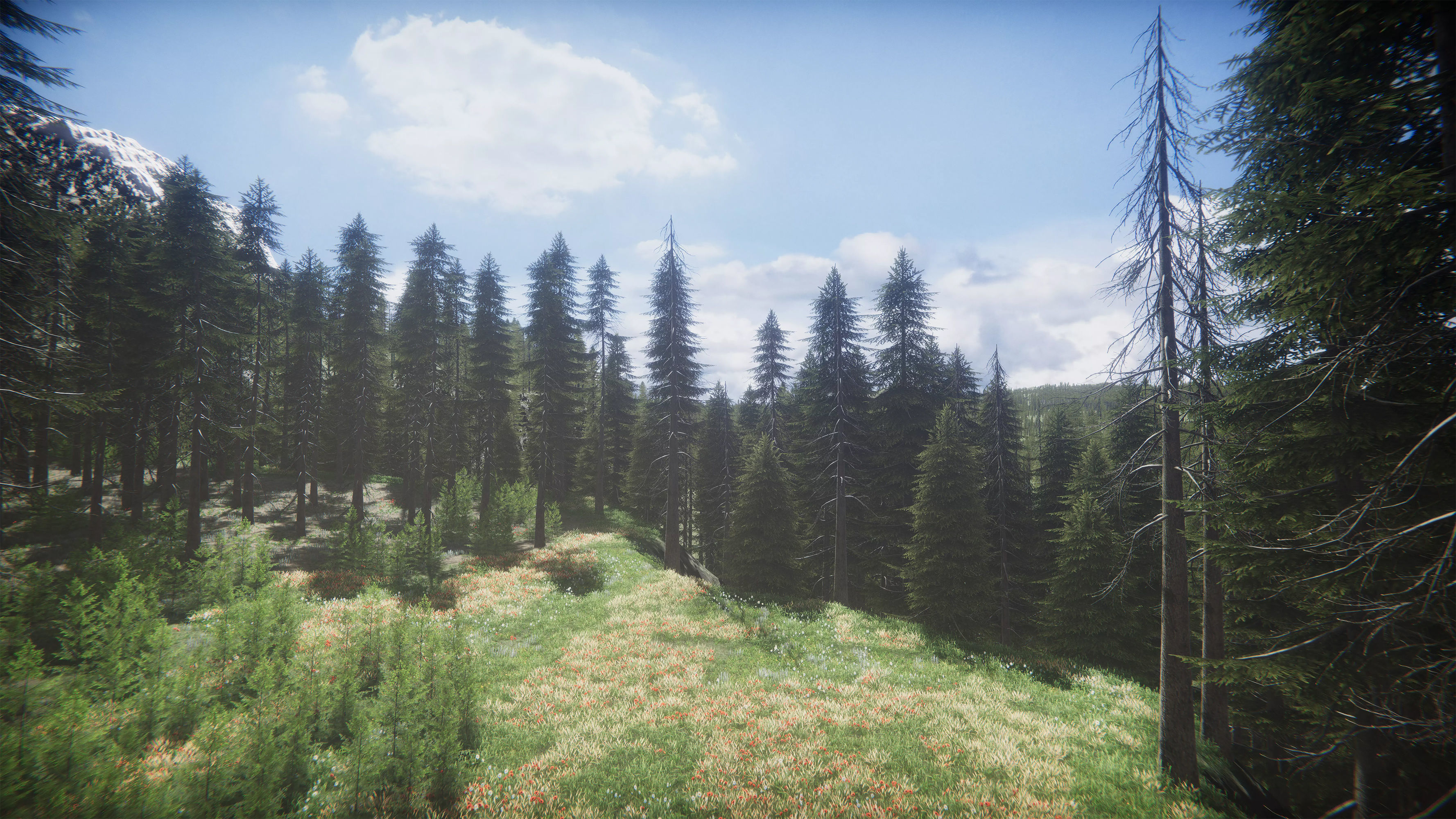 Mountains Coniferous Forests - Environment Low-poly 3D model_17