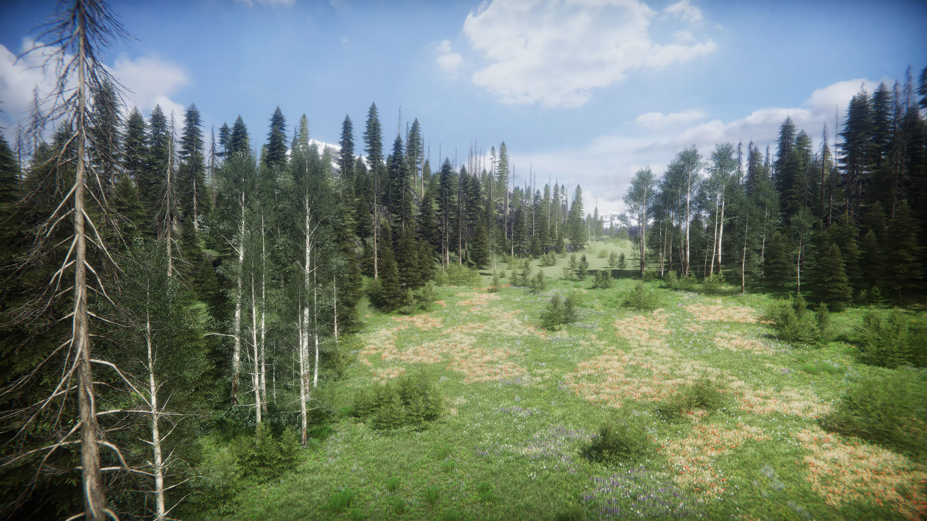 Mountains Coniferous Forests - Environment Low-poly 3D model_22