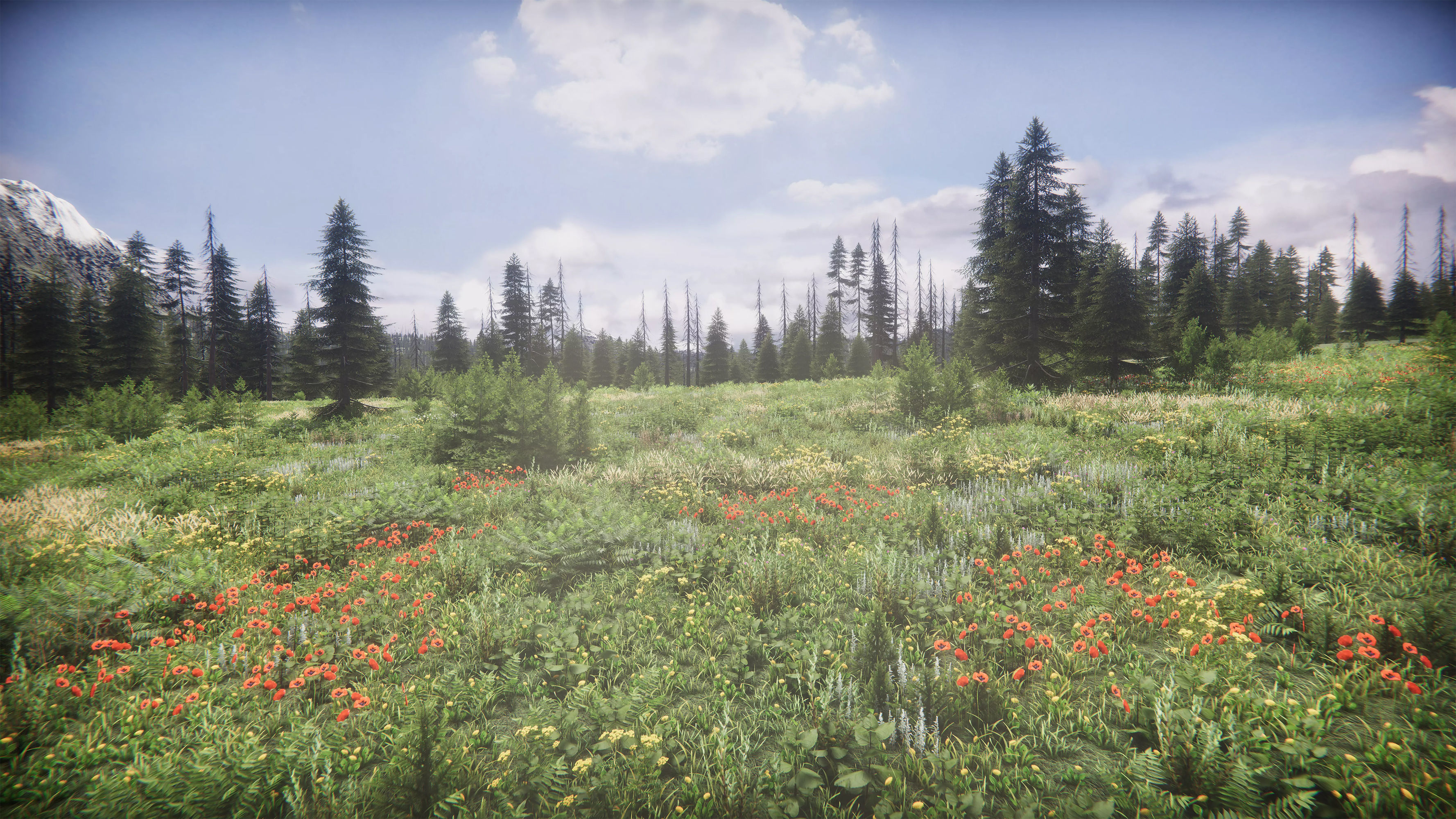 Mountains Coniferous Forests - Environment Low-poly 3D model_8