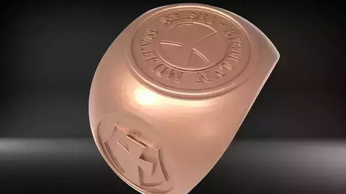 Mens Ring of Knights Templar Jewelry US Size 12