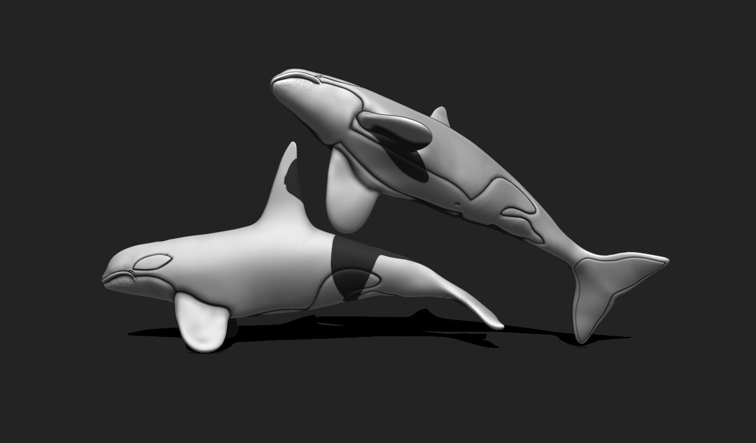 Whale Orca - Sea Life - 3D STL File for 3D Printing 3D print model_7
