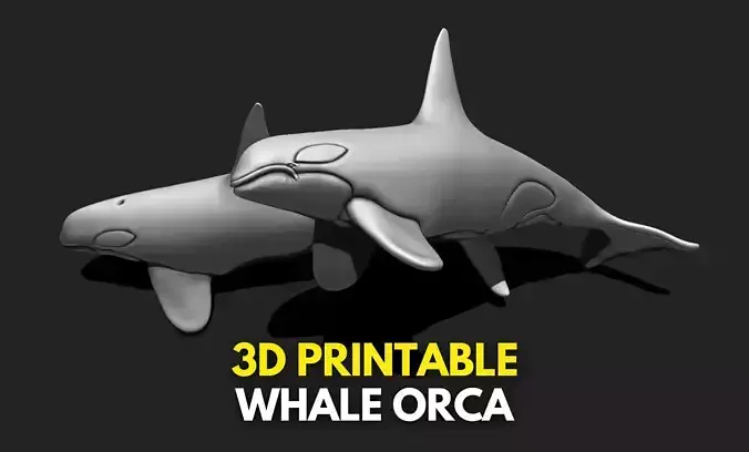 Whale Orca - Sea Life - 3D STL File for 3D Printing 3D print model