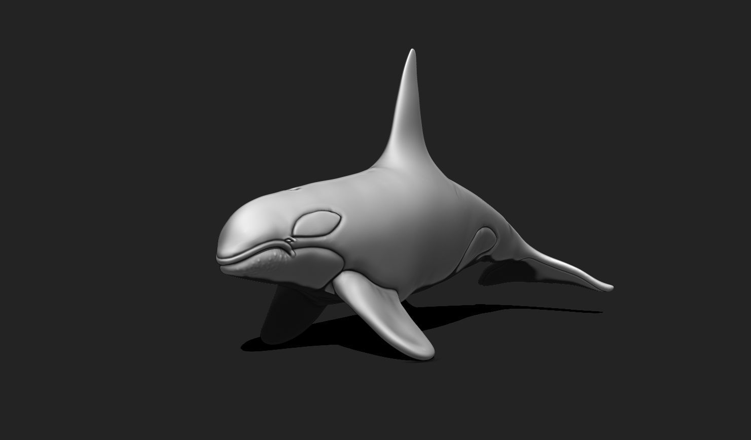 Whale Orca - Sea Life - 3D STL File for 3D Printing 3D print model_3