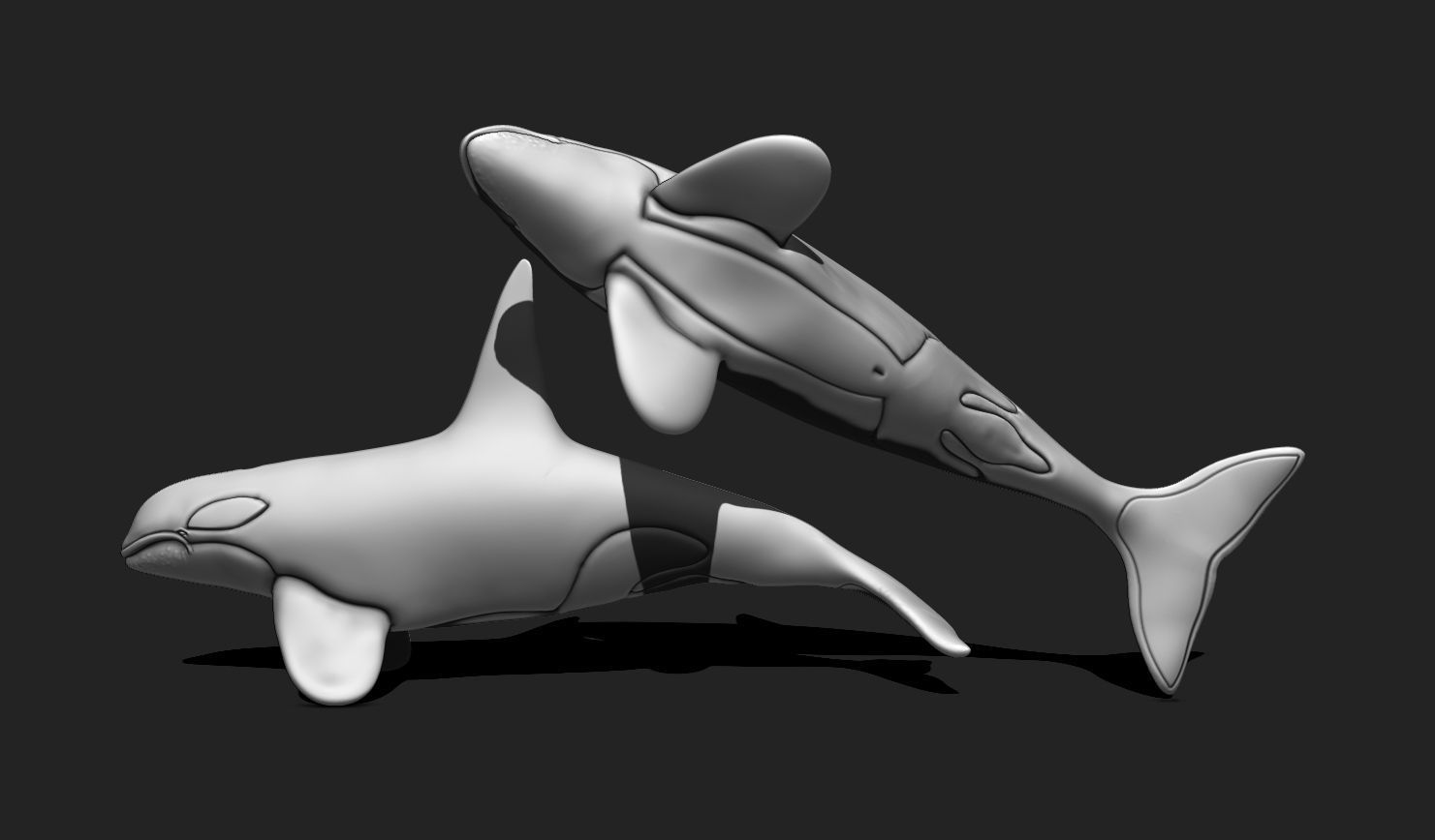 Whale Orca - Sea Life - 3D STL File for 3D Printing 3D print model_9
