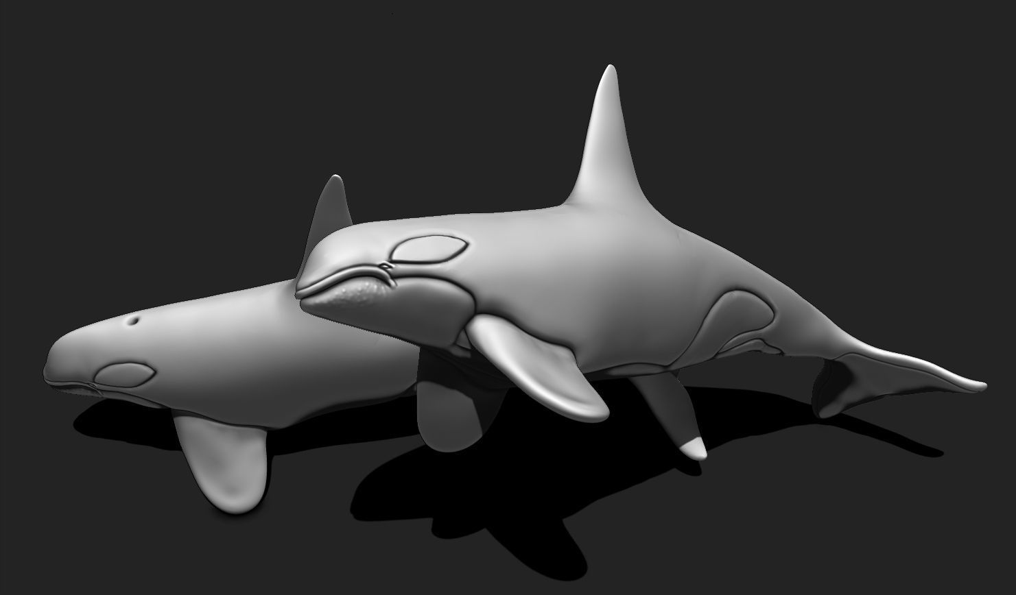 Whale Orca - Sea Life - 3D STL File for 3D Printing 3D print model_8