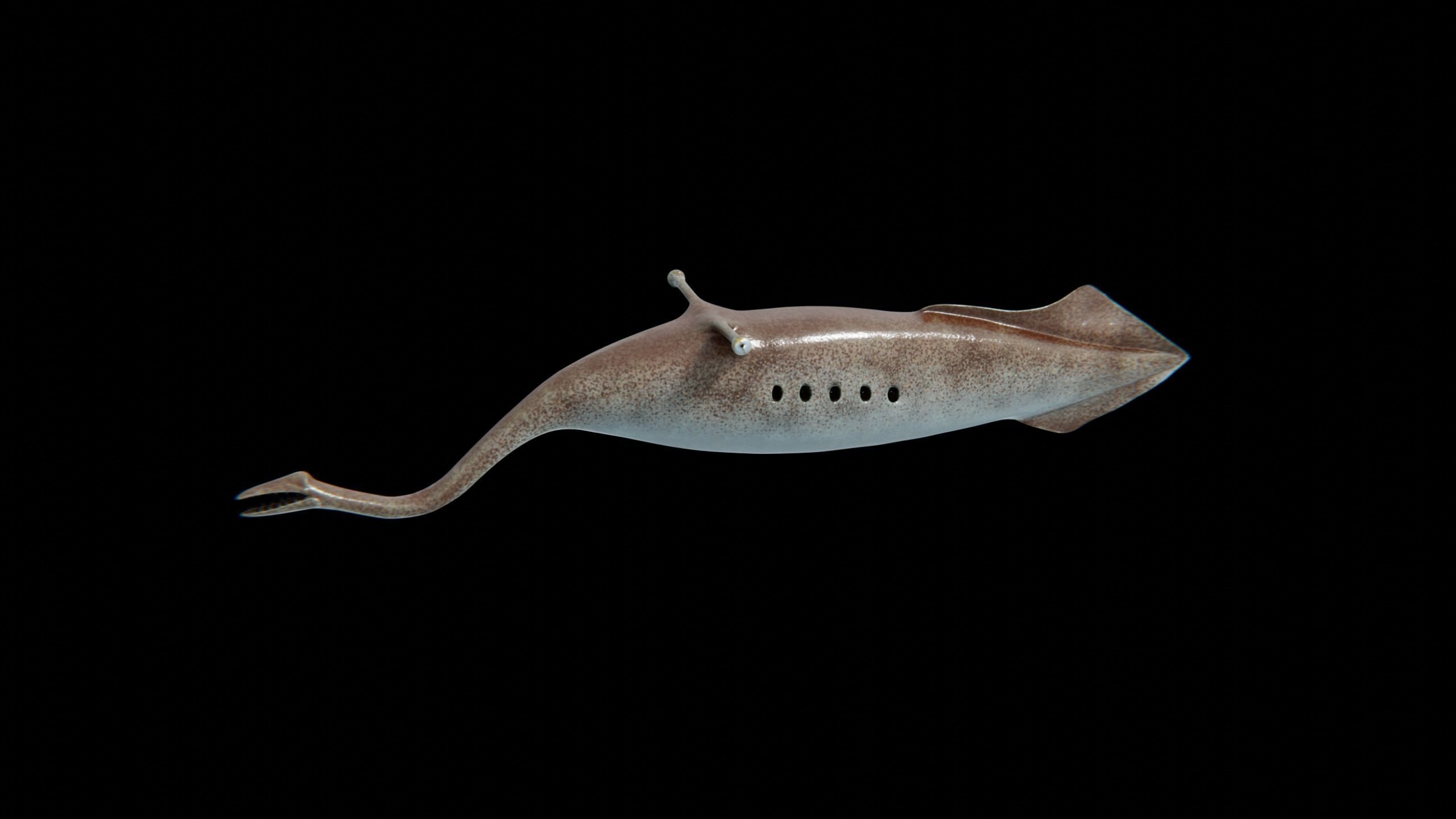 Tully Monster Tullimonstrum Free low-poly 3D model_4