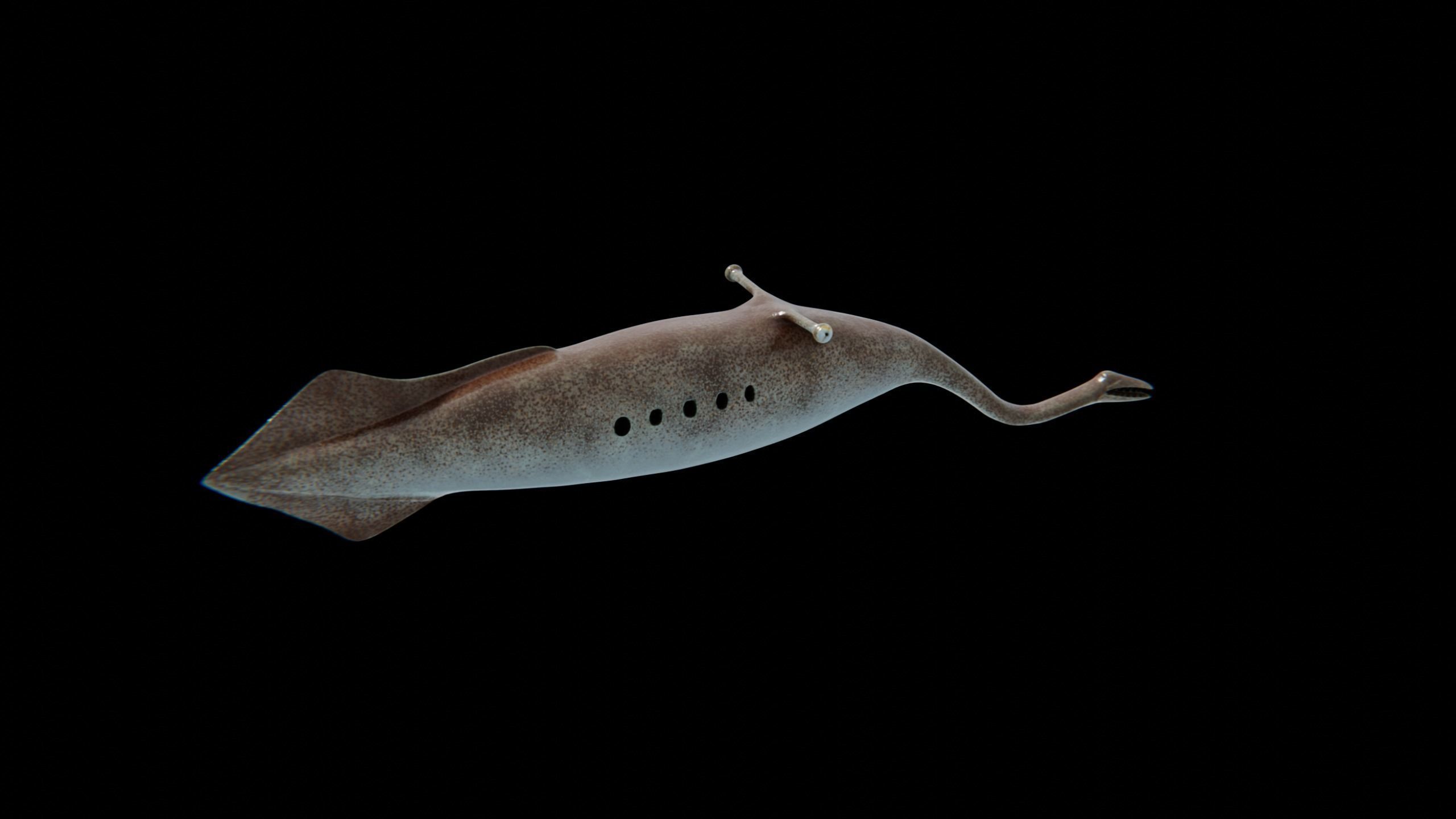 Tully Monster Tullimonstrum Free low-poly 3D model_10