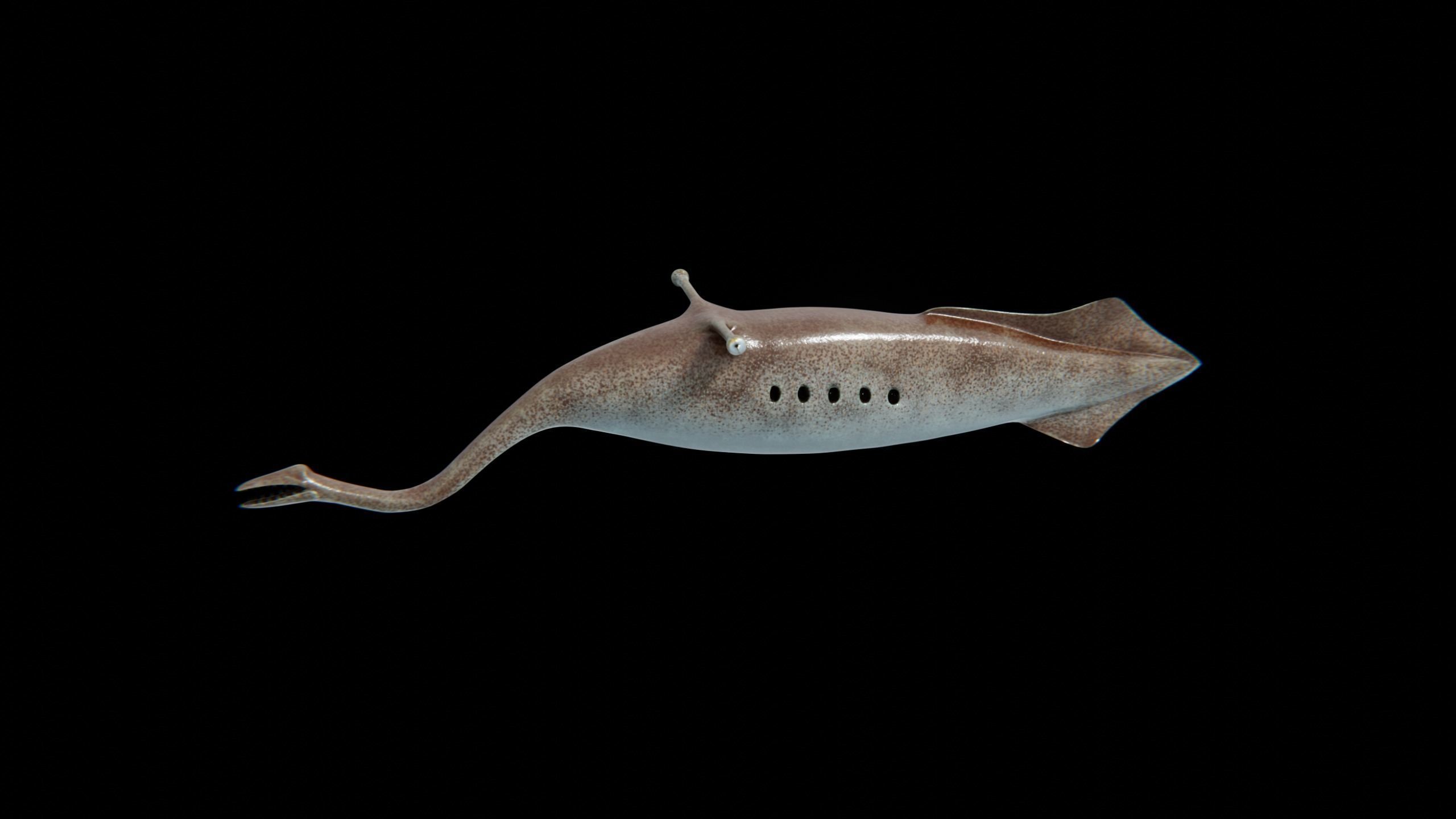 Tully Monster Tullimonstrum Free low-poly 3D model_13