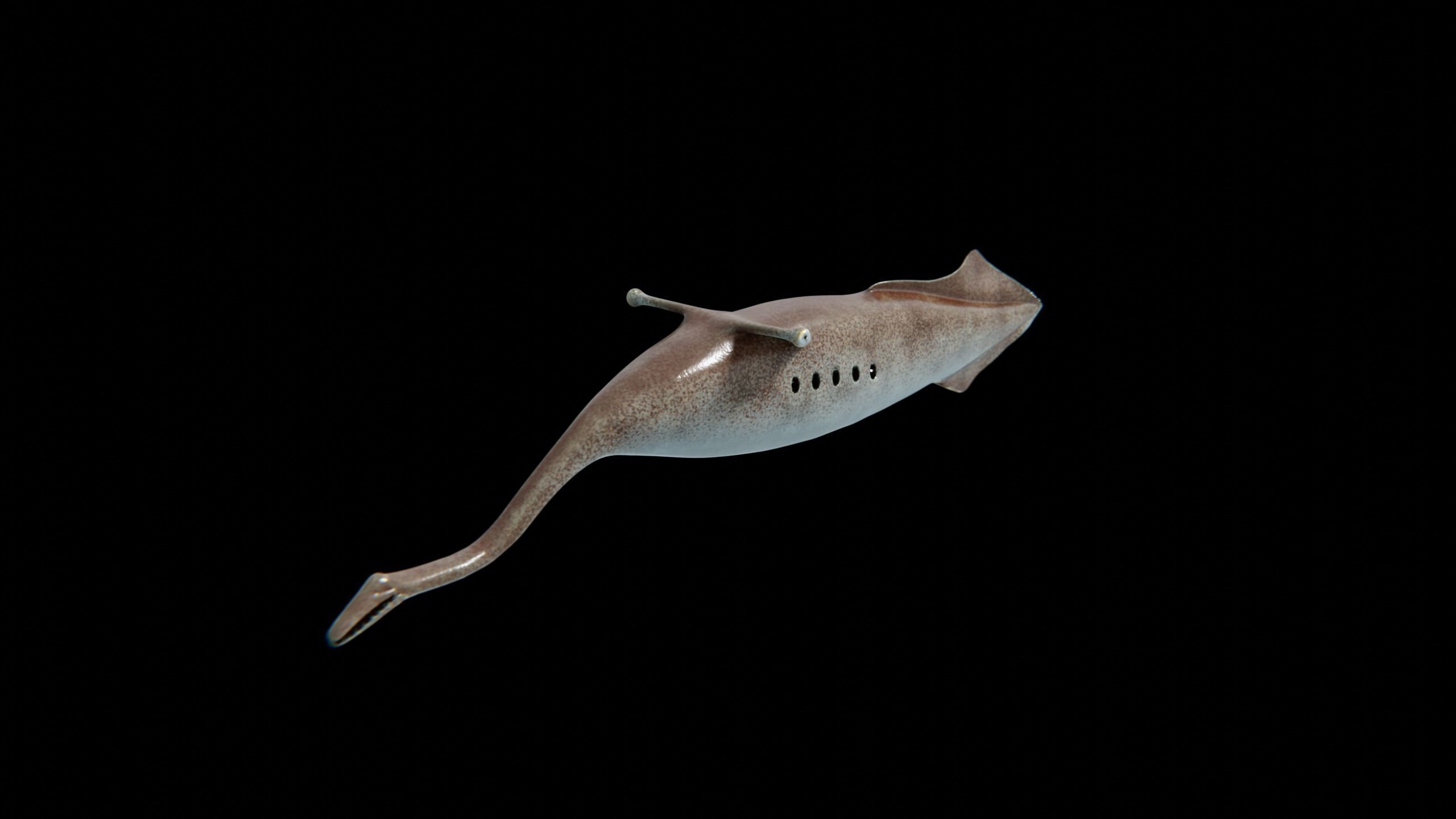 Tully Monster Tullimonstrum Free low-poly 3D model_15