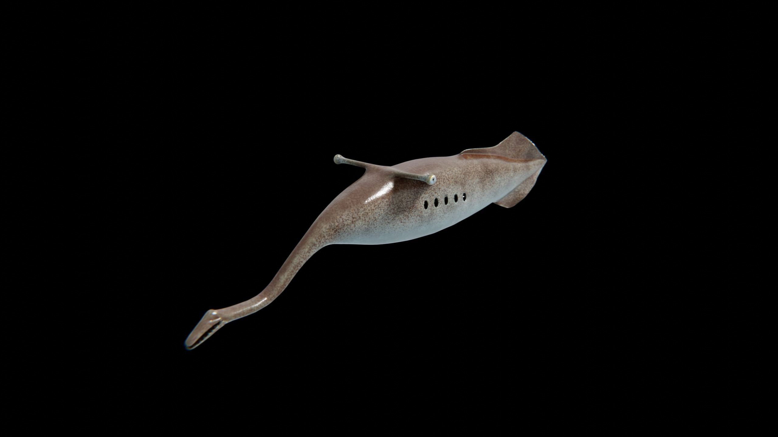 Tully Monster Tullimonstrum Free low-poly 3D model_12