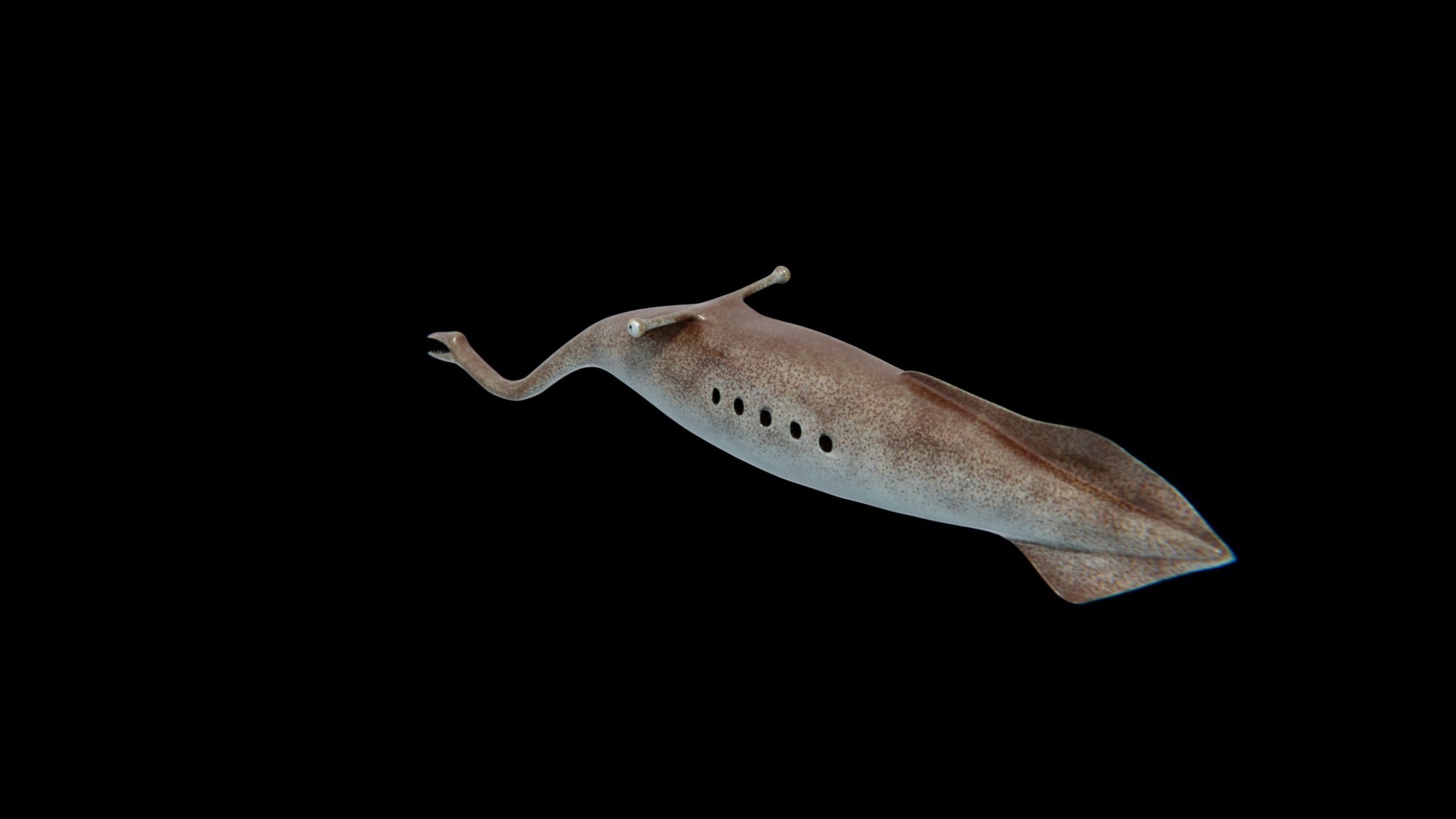 Tully Monster Tullimonstrum Free low-poly 3D model_5