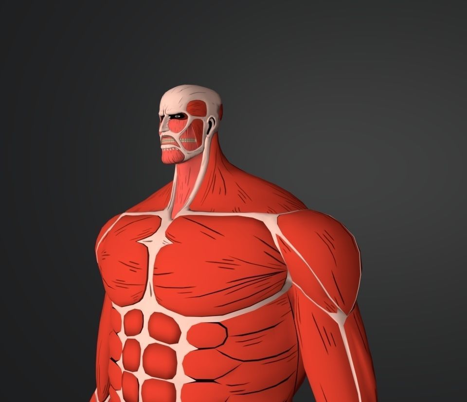 titan colossal 3D model_2