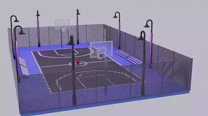 EliteHoops Basketball Court