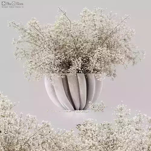 Bouquet Indoor Plants 14