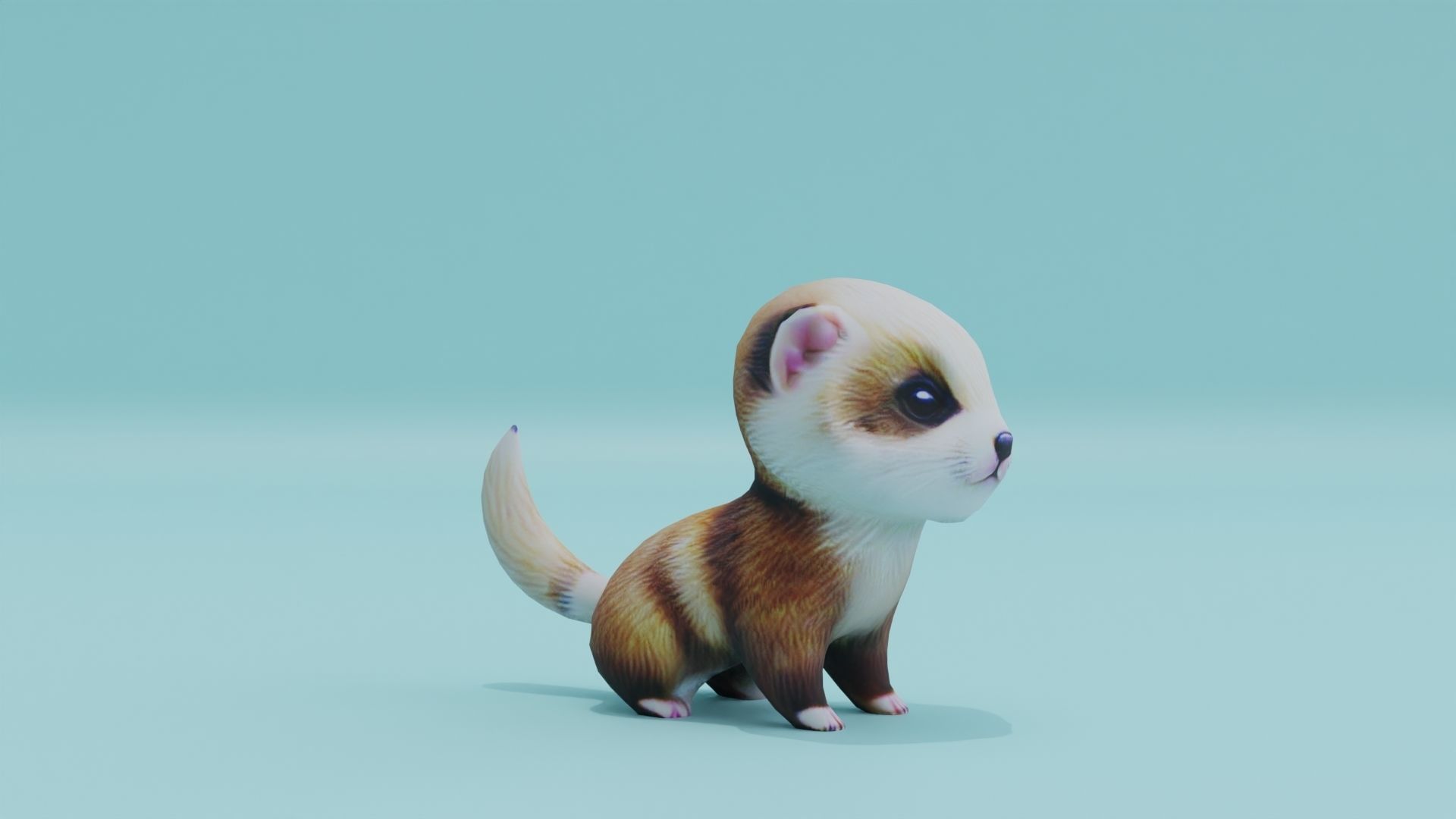 Baby Ferret Low-poly 3D model_8