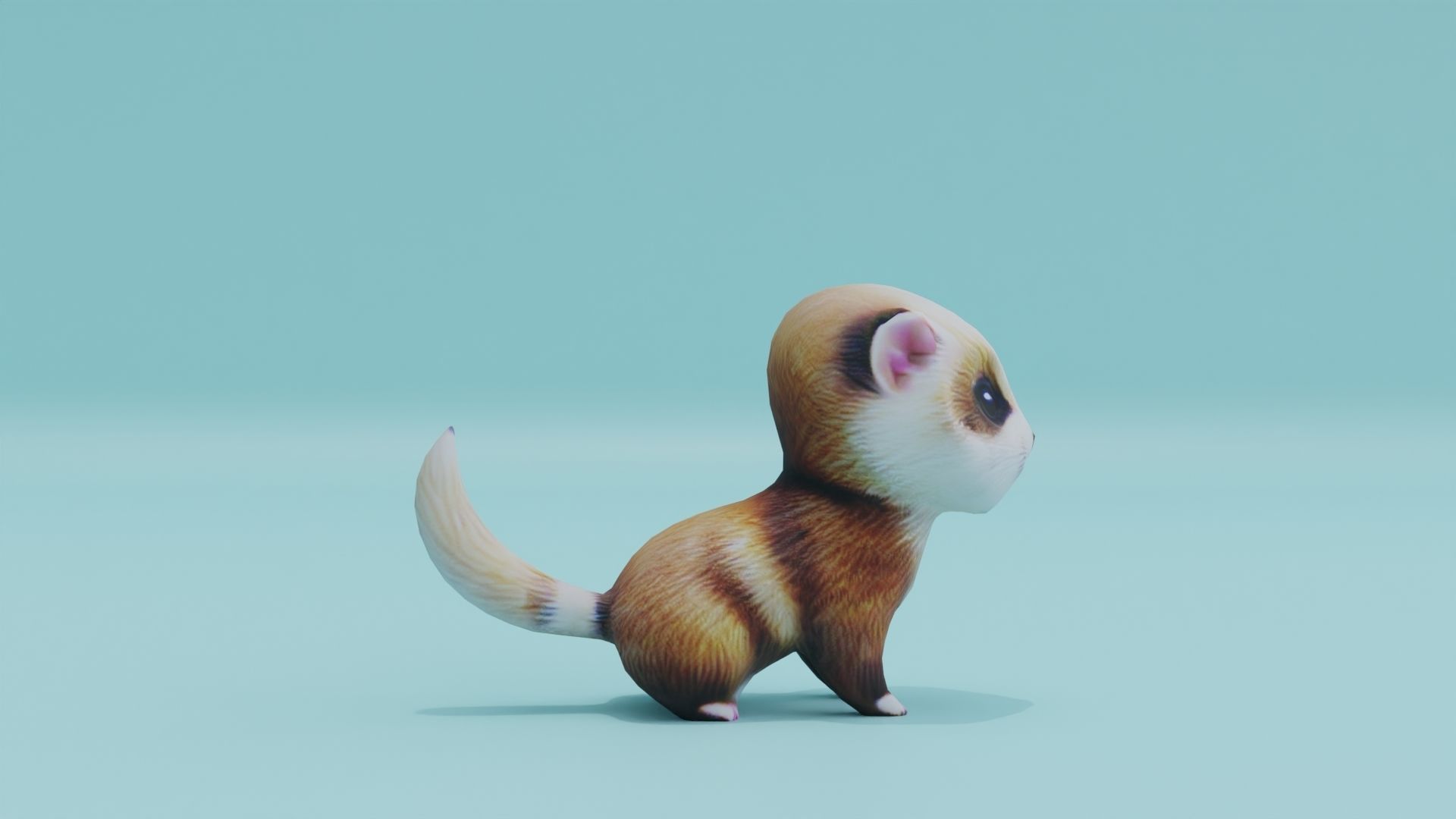 Baby Ferret Low-poly 3D model_7