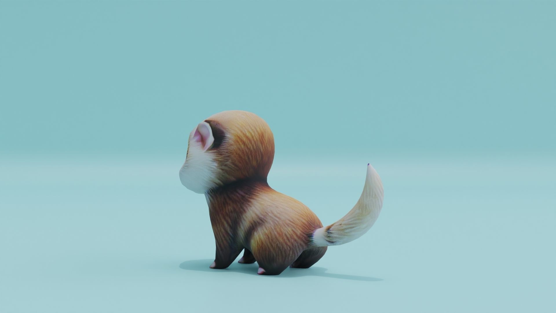 Baby Ferret Low-poly 3D model_4
