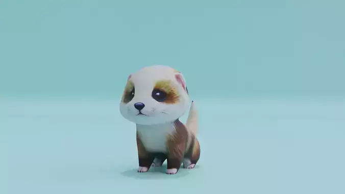 Baby Ferret